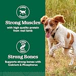 NUTRO Natural Choice Small Bites Adult Dry Dog Food Lamb & Brown Rice Recipe 2.27kg (5LB)