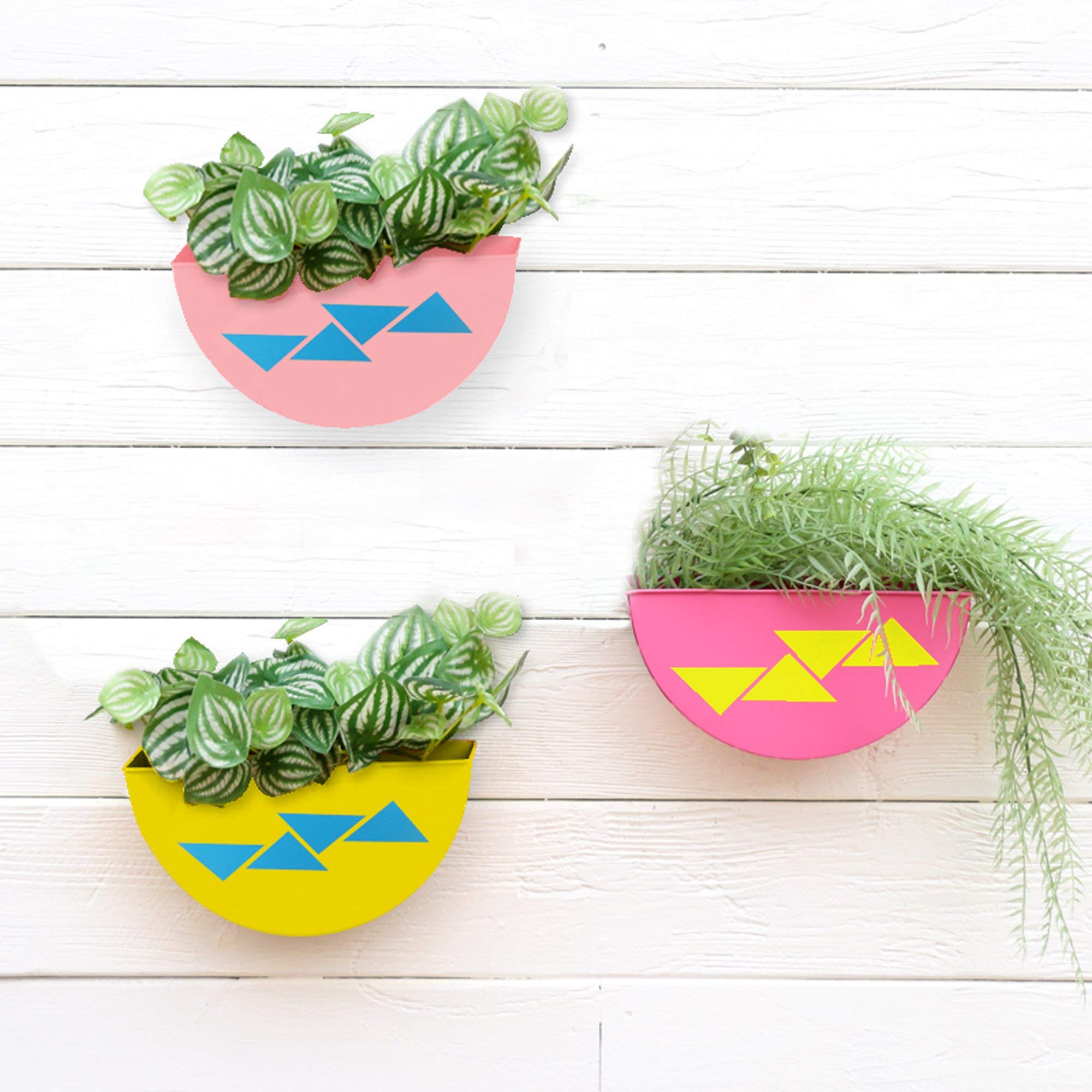 TrustBasket Half Moon Wall Planters (Yellow, Light Pink and Magenta)- Set of 3 | Wall Hanging Pot,Indoor/Outdoor Use,Home Decor/Garden Decor,Balcony Hanging,Office use with Multi-Color Pots (B083JZY49H) Amazon Price History, Amazon Price Tracker