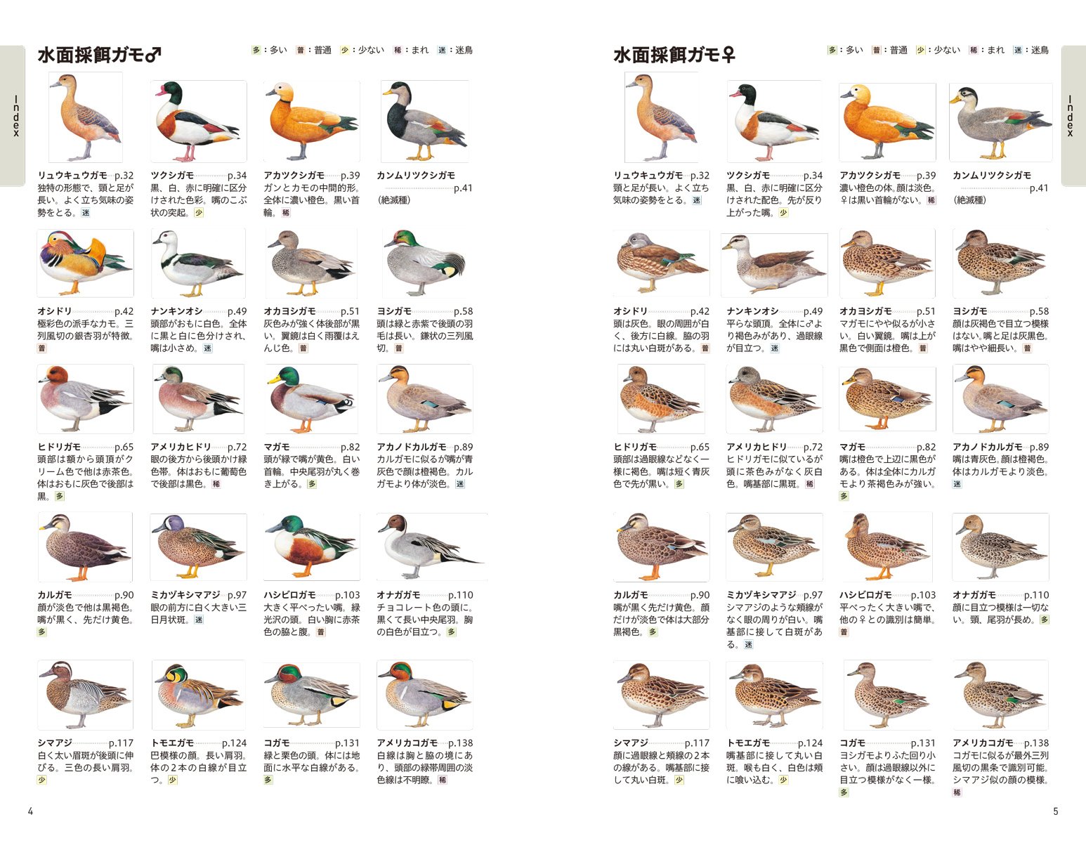 決定版 日本のカモ識別図鑑 日本産カモの全羽衣をイラストと写真で詳述 巨雄 氏原 道昭 氏原 配送料無料