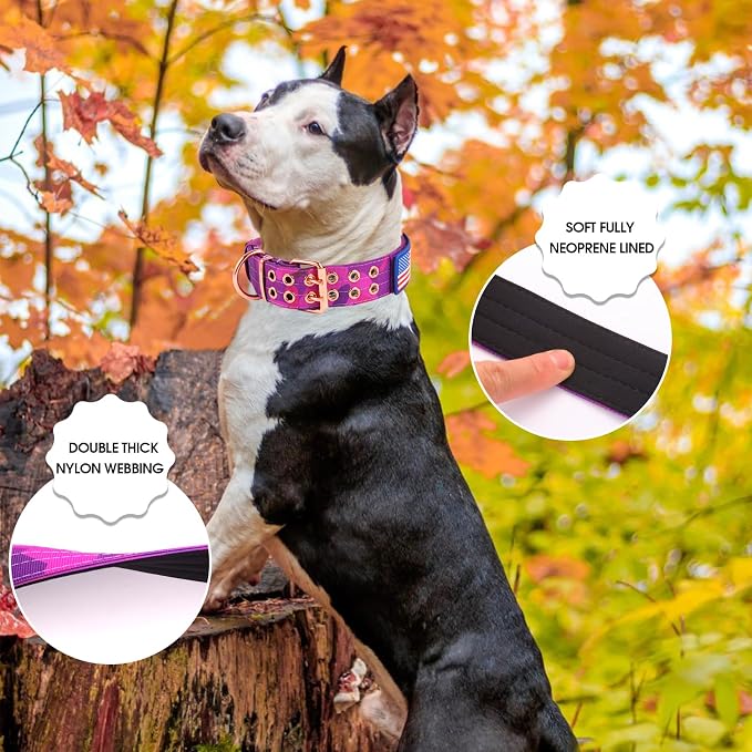 Collar táctico para perro con neopreno y hebilla metálica miniatura 3