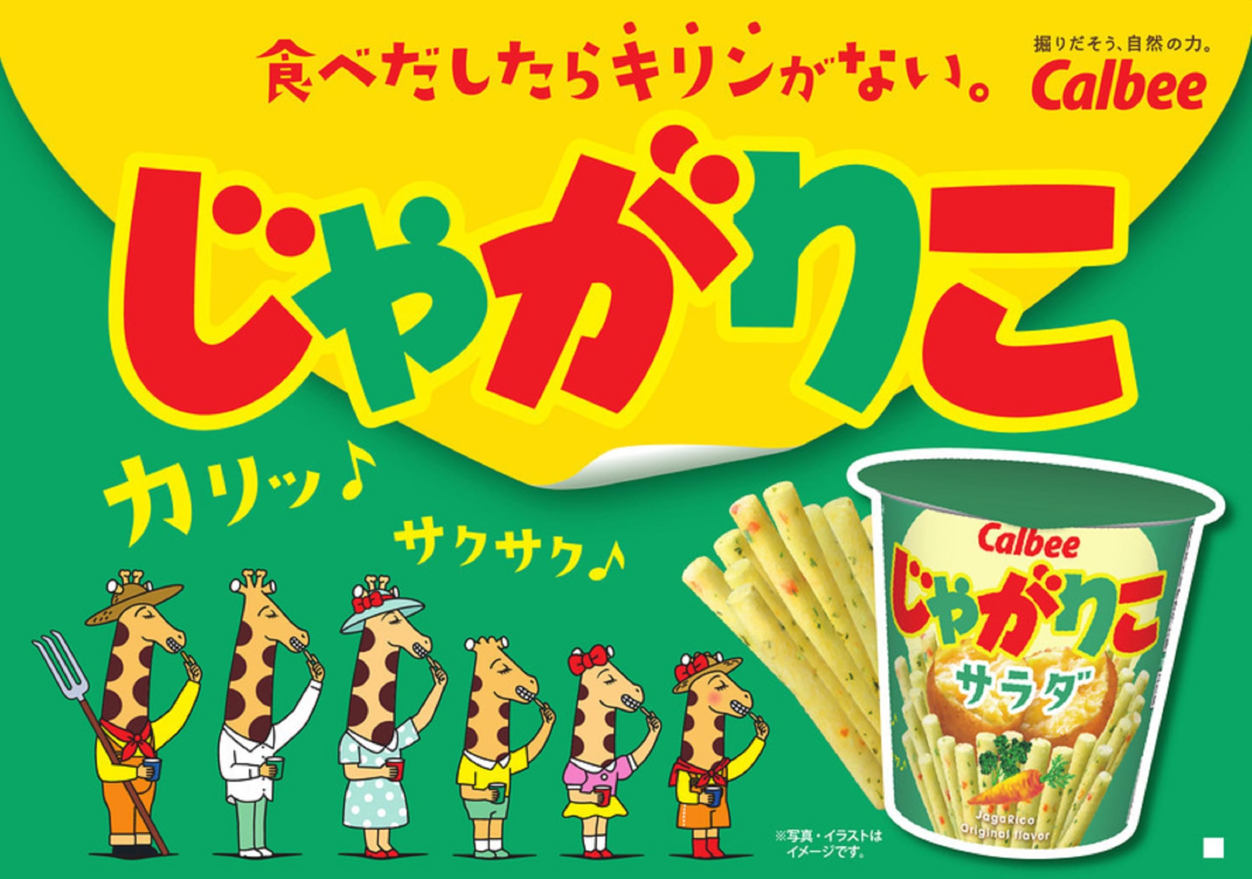 Amazon.co.jp: カルビー じゃがりこサラダbits大モリ 100g×12袋