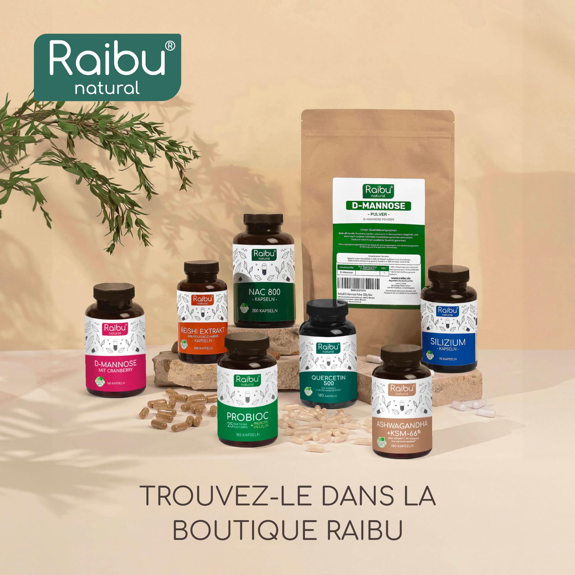 Quercétine, 180 Gélules pour 6 Mois - 500 mg par Gélule, Quercétine issue des Fleurs de Sophora Japonica - Flavonoïdes Haute Biodisponibilité - Testé en laboratoire, Sans Additifs - RAIBU