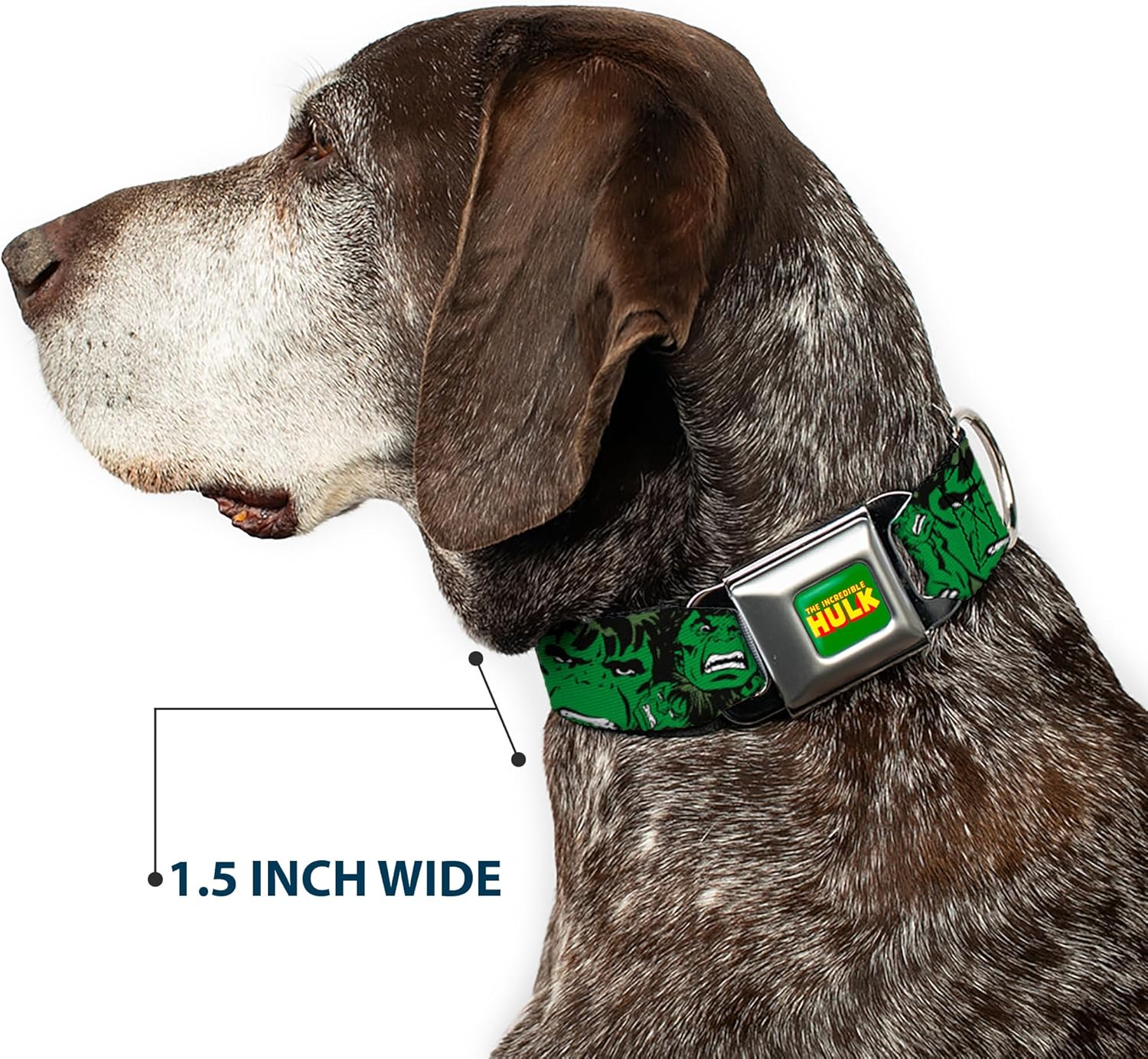 Buckle-Down Seatbelt Buckle Dog Collar - The Hulk Stacked - 1" Wide - Fits 11-17" Neck - Medium