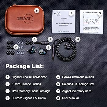 Amazon.com: Linsoul ZiiGaat Luna 6BA HiFi in Ear Monitor, Studio