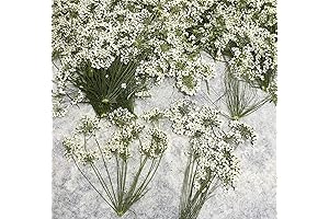 12 Pcs White Faux Queen Anne's Lace Flowers with Stems