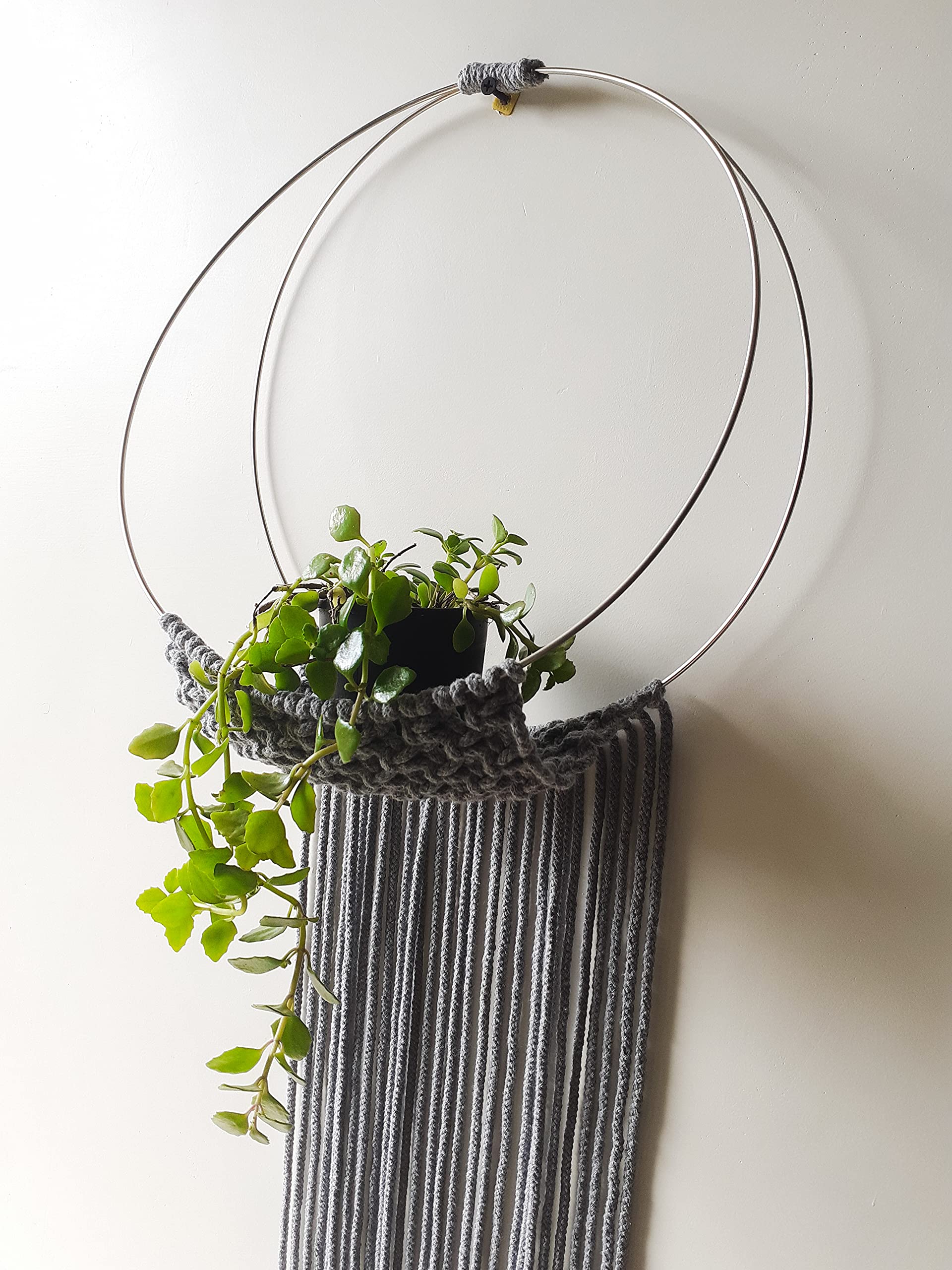 Zippy Flora Hanging Ring Macrame Plant Hanger with Dangling Threads (Grey) (B09DLFV61P) Amazon Price History, Amazon Price Tracker