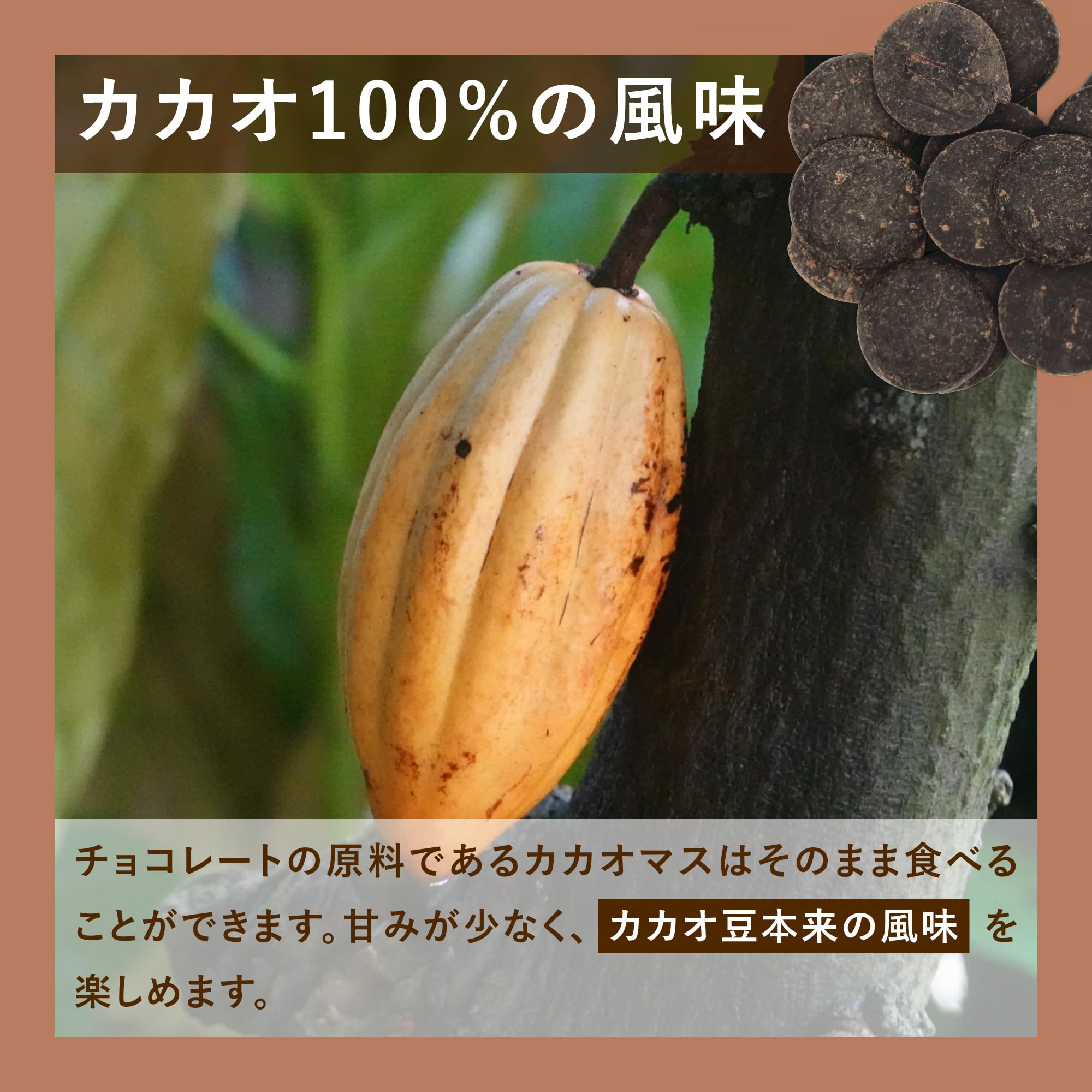 Amazon | 富澤商店 カカオマス (カカオ100%) 砂糖不使用 無塩 1kg 