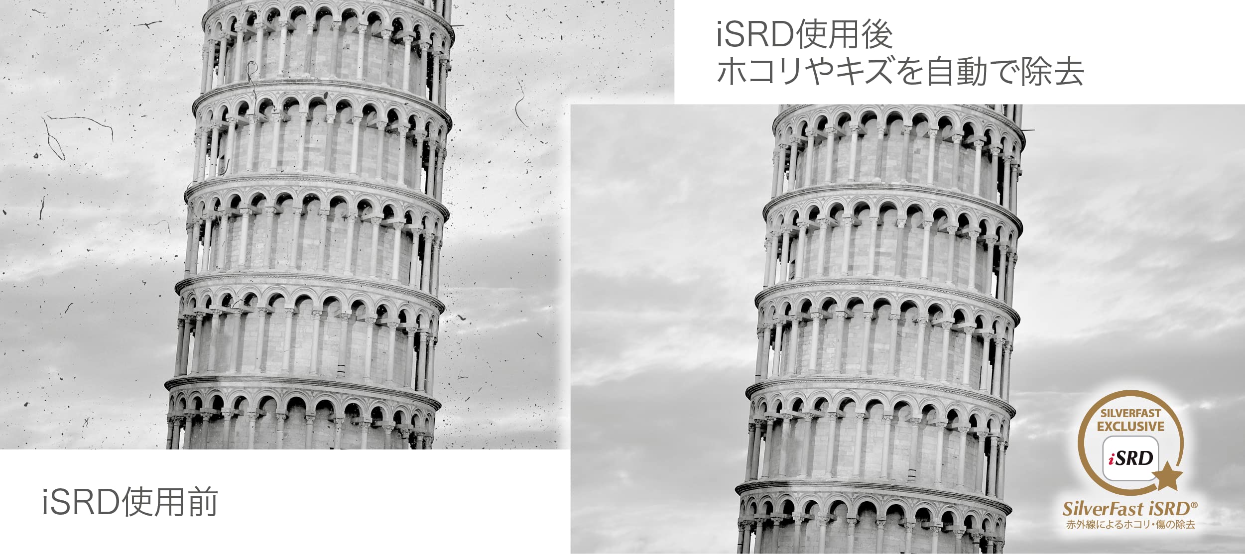 Amazon.co.jp: SilverFast 9 SE 写真・画像の管理編集ソフト EPSON GT