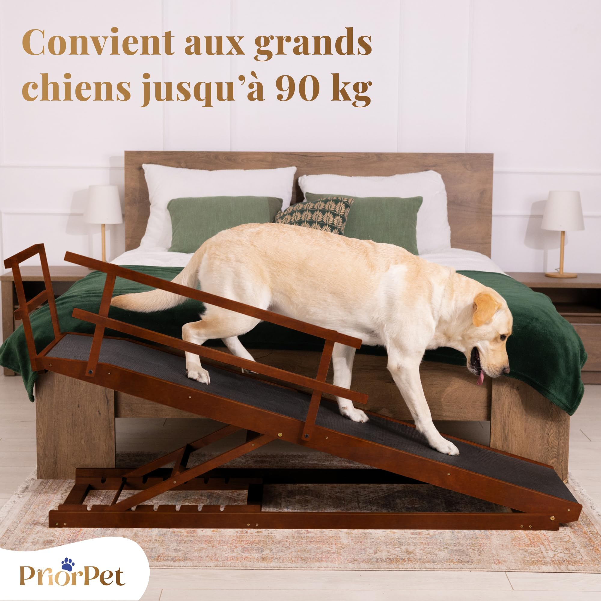 Rampe pour Chien Grande Taille pour Lit avec Barrières de Sécurité – pour Lit Haut jusqu'à 94,5 cm – Capacité jusqu'à 90 kg – Rampe de lit pour Chien Pliable, Antidérapante – Bois de Bouleau – Noix