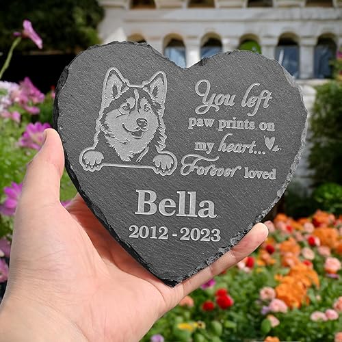Vista 26 de Estatua de bulldog continental, piedra conmemorativa del bulldog continental, placa conmemorativa del bulldog continental, recuerdo personalizado