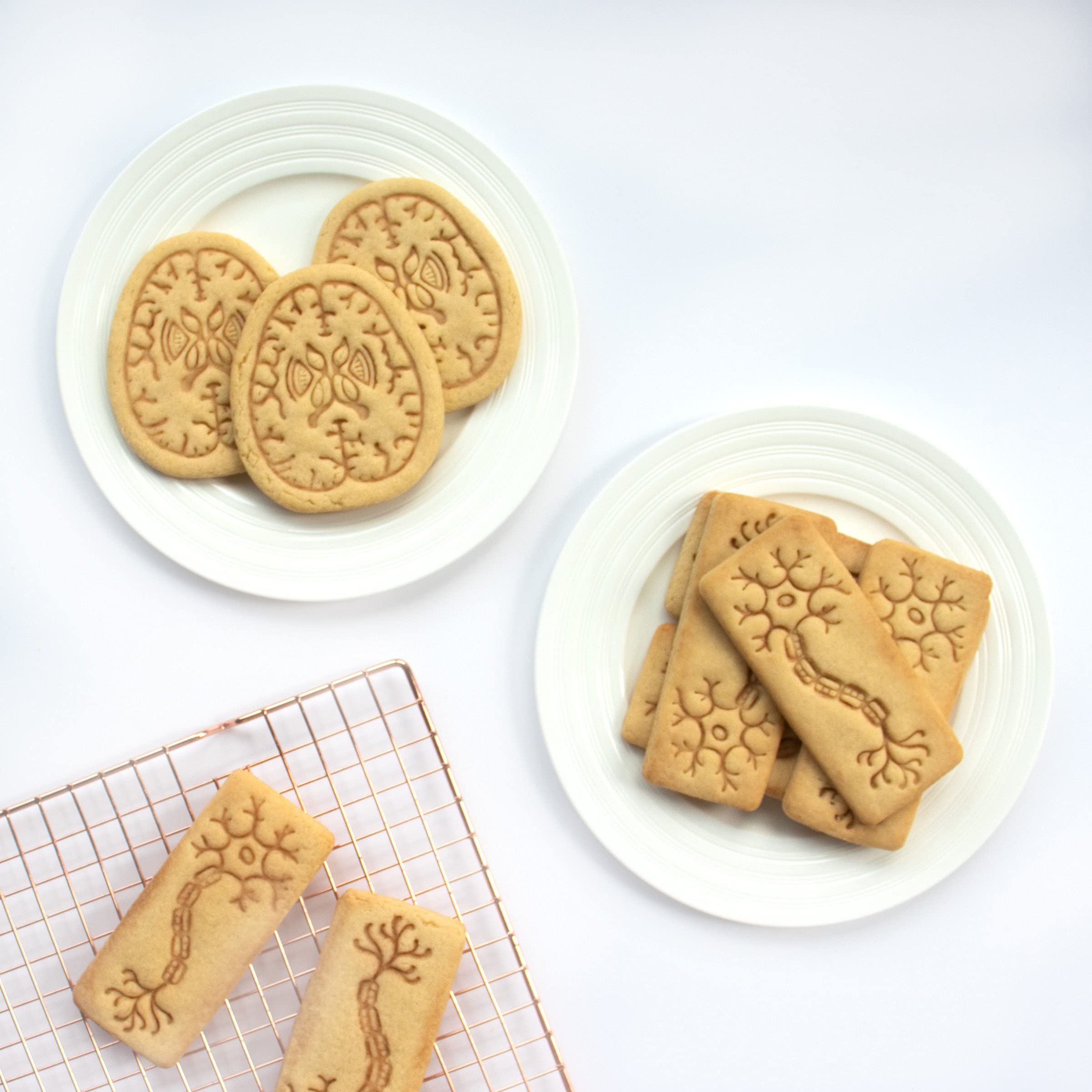 クッキー型 Amazon.co.jp: [SDCADQ]クッキー型抜き ちいかわ ハチワレ