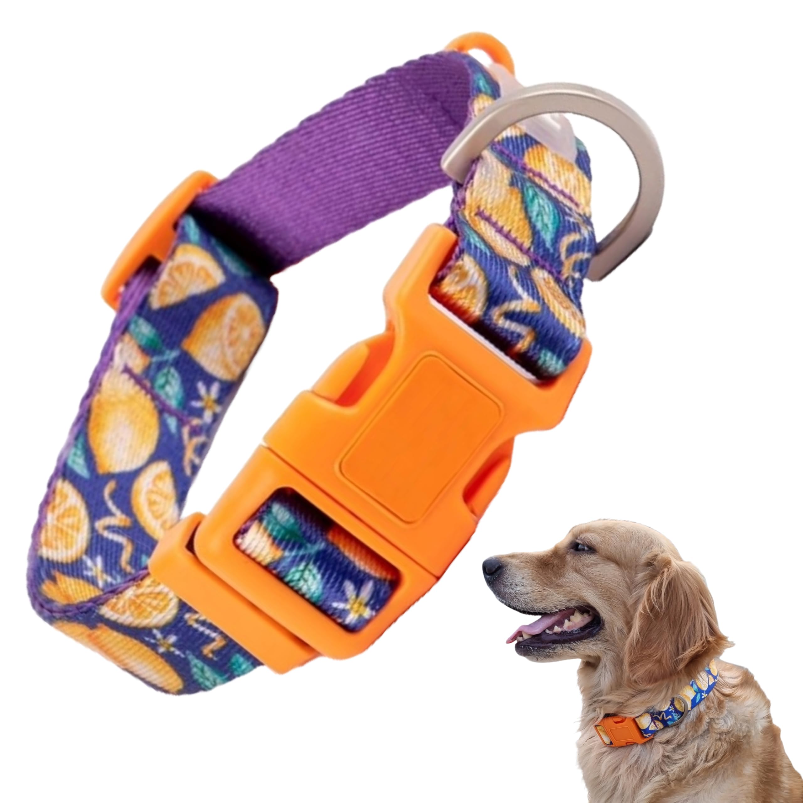 Bruby Soft Polyester Designer Dog Collar, Adjustable Collar for Medium & Large Dog, Stylish and Durable Dog Collar with Quick Release Buckle (Large, Blue) (B0D6L14HPL) Amazon Price History, Amazon Price Tracker