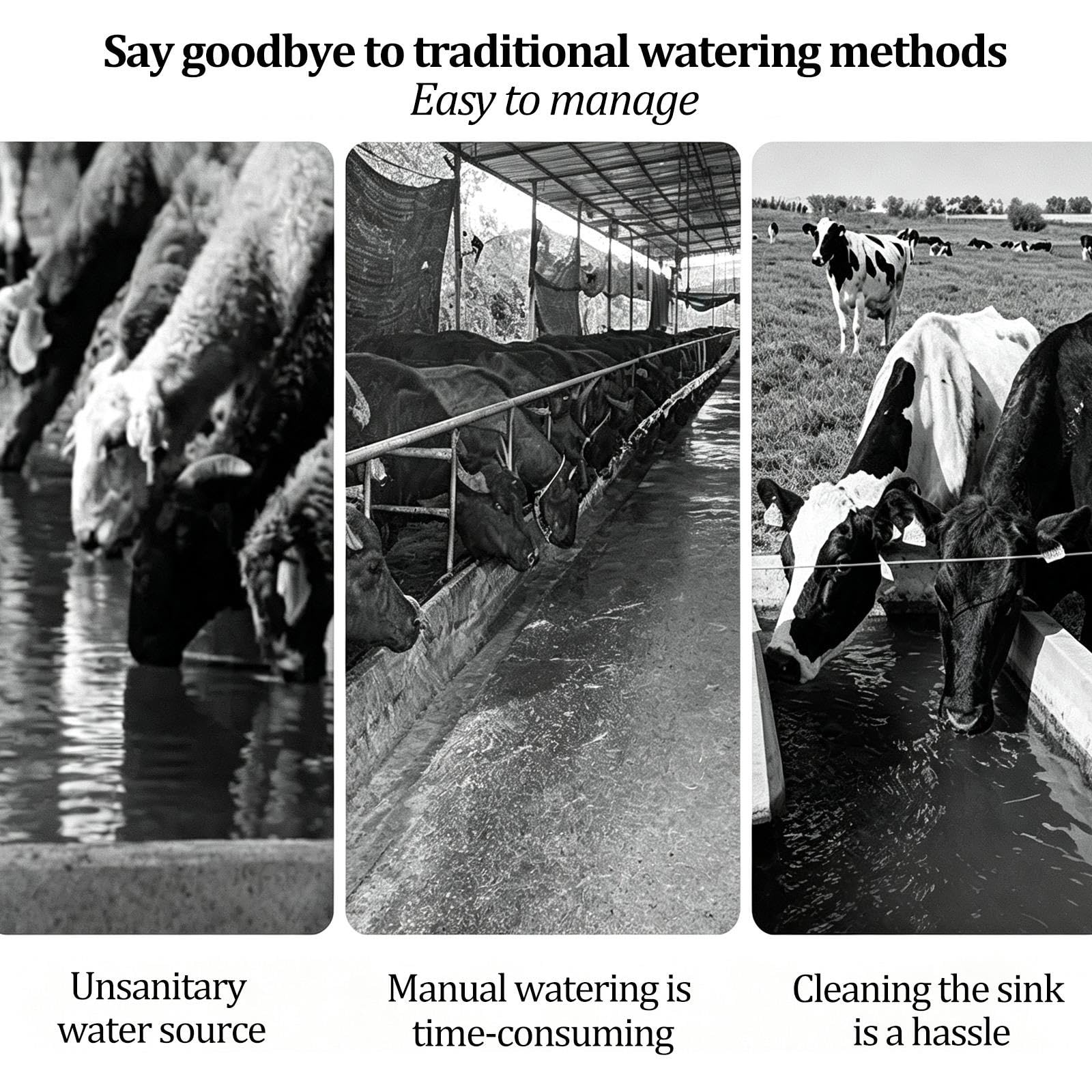 Automatische Viehtränke, Wasserspender aus Edelstahl