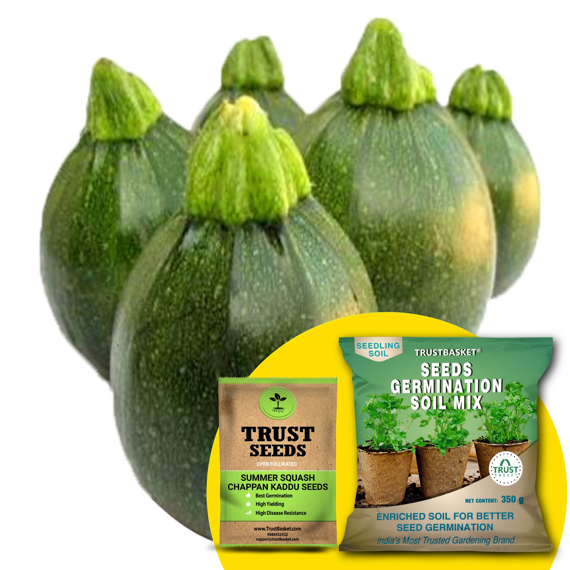 TrustBasket Premium Summer Squash - Chappan Kaddu (OP/Desi) Seeds With Free Germination Potting Soil Mix | Sow and Grow Fresh Healthy Seed in Your Garden Perfect for Home & Terrace Gardening (B07R5B3VML) Amazon Price History, Amazon Price Tracker