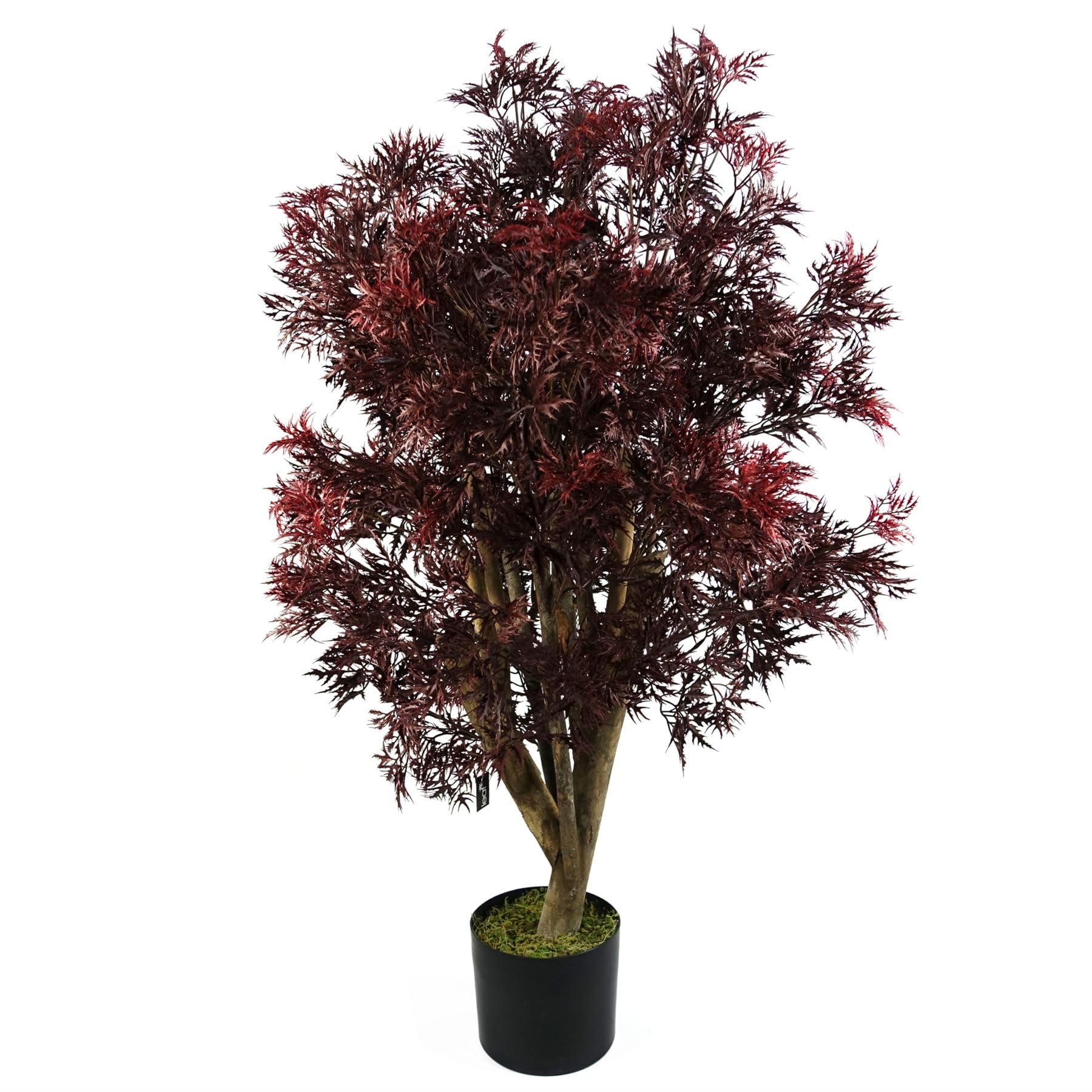 Botanik Artificial Office Plants