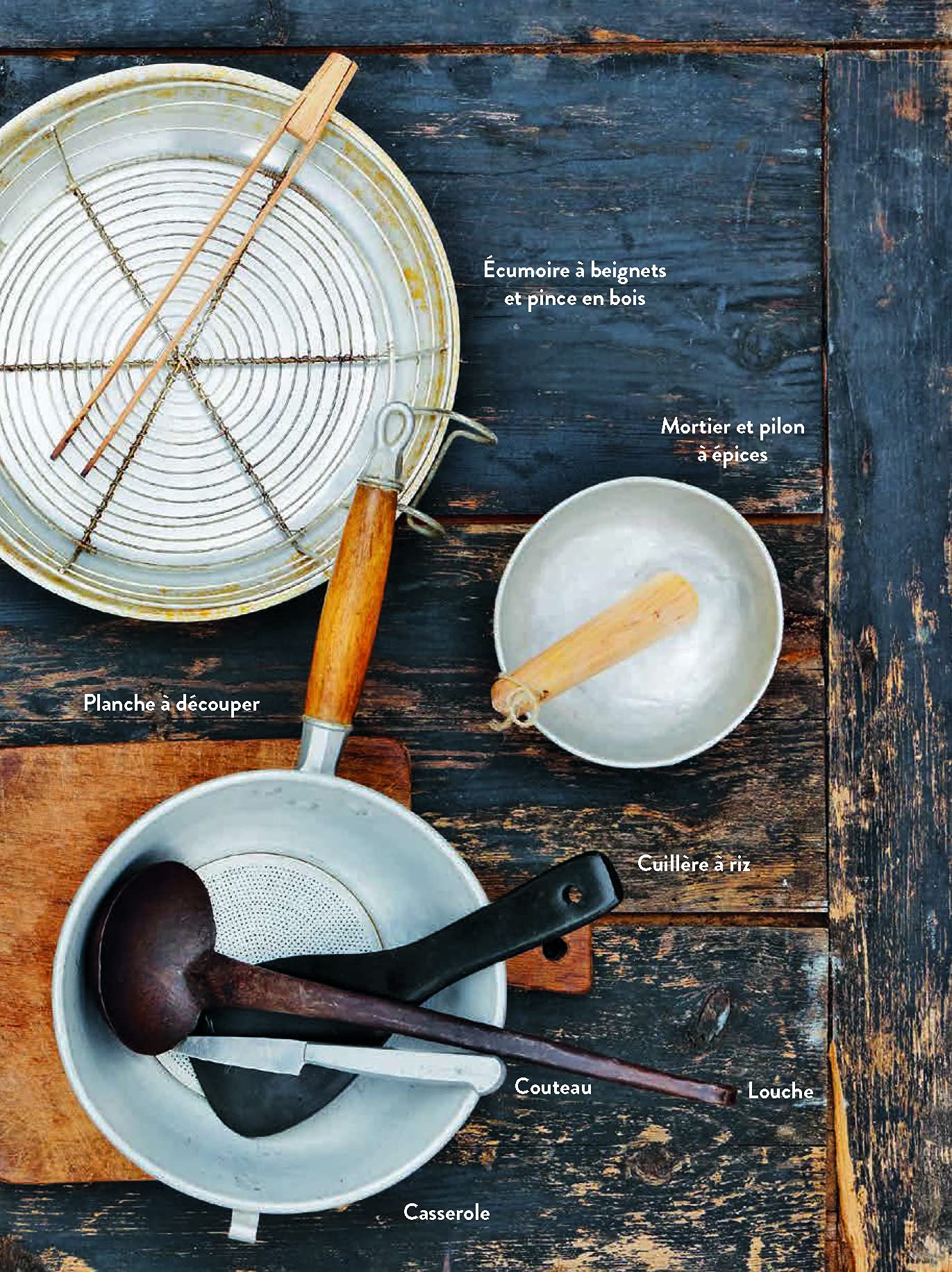 Le grand livre de la cuisine indienne