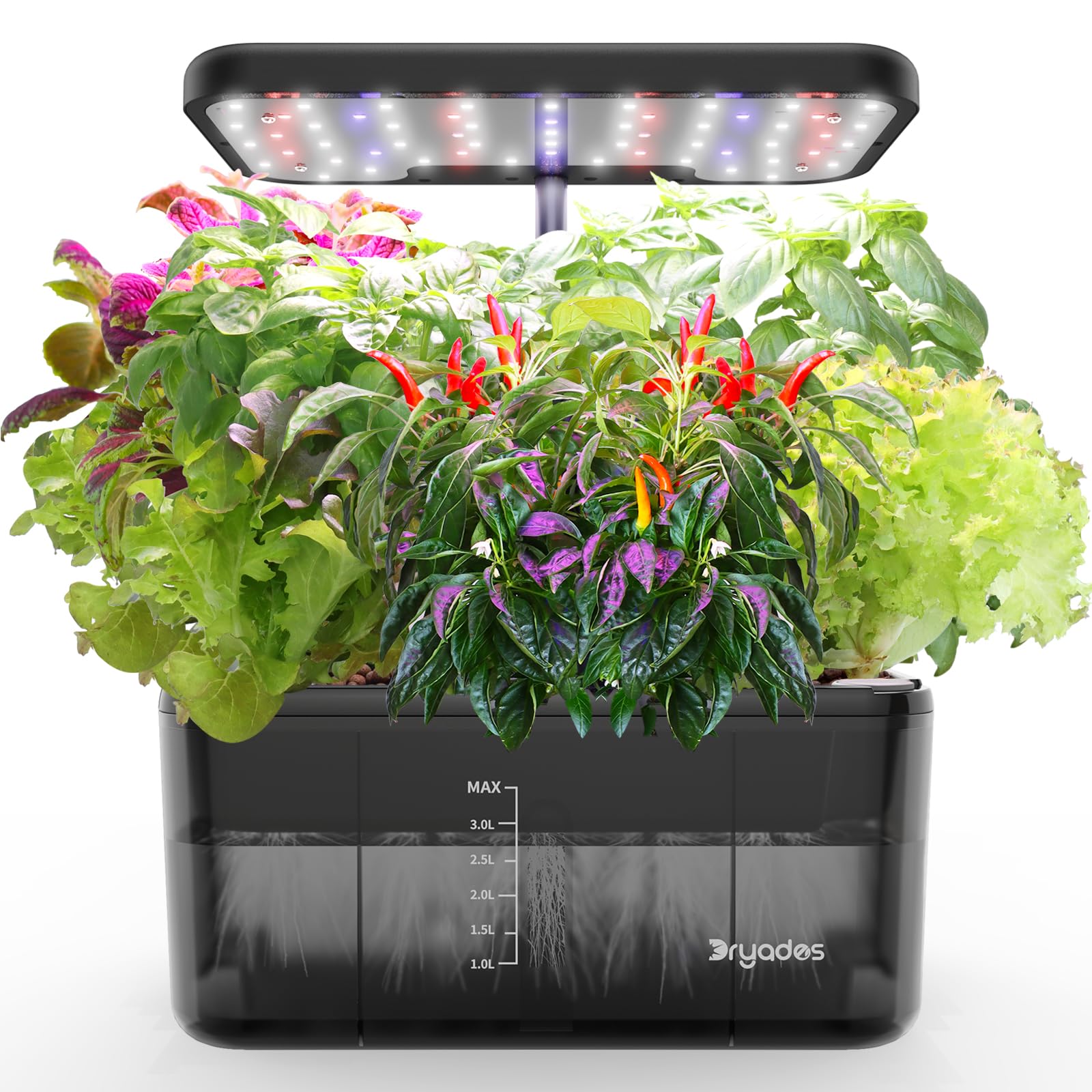 DRYADES Indoor Herb Garden Kit, Hydroponic Growing System with LED Grow Light Quiet Water Pump for Home Kitchen Office Healthy Fresh Herbs Vegetables, Gift Ideas for Women Men
