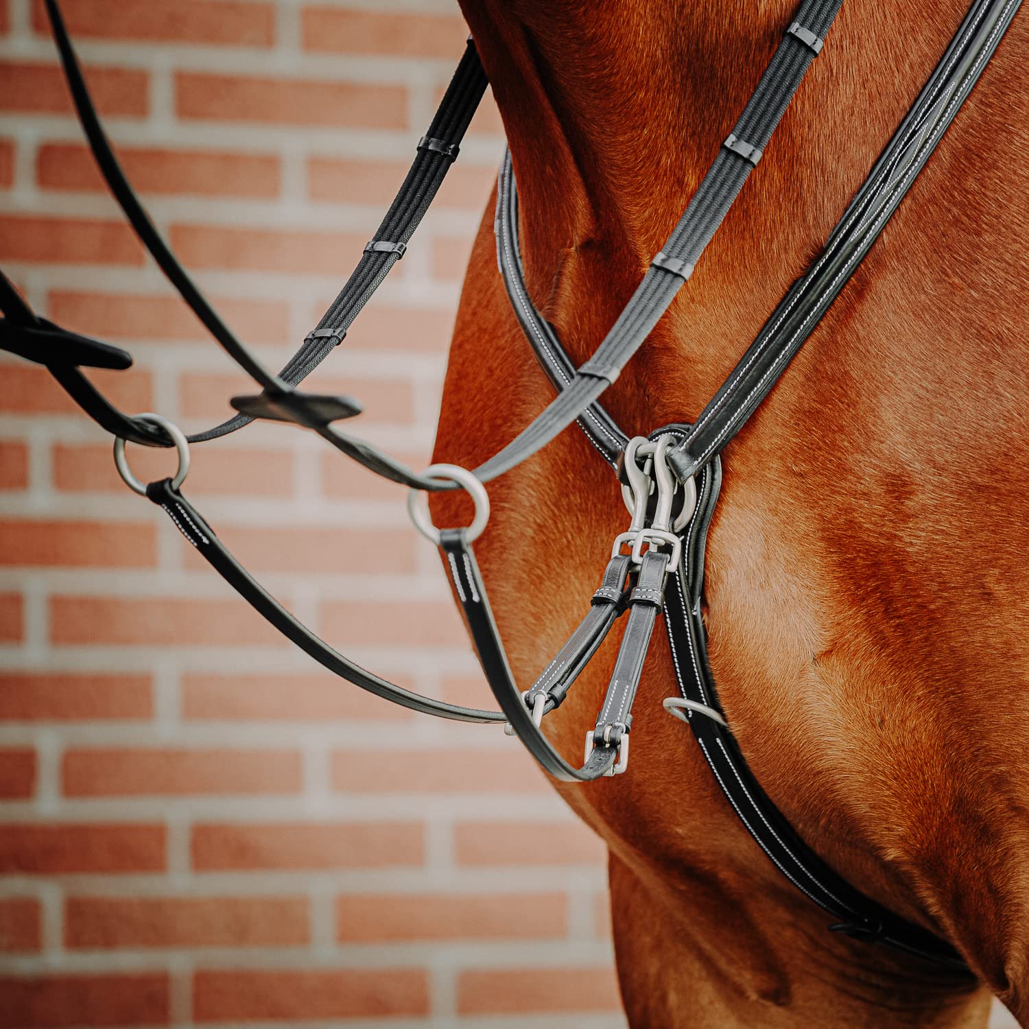 SUNRIDE Pettorale Cavallo in Pelle con martingala (Windsor) – attacco a 3-punti – forchetta martingala rimovibile – inserti elastici – regolabile (Full, Negro)