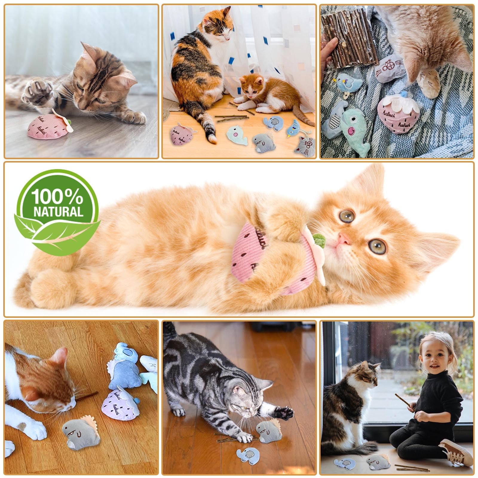 BDBFPAN Katzenminze Spielzeug Set - 1 Raupe & 2 Matatabi Sticks Für Zahnpflege & Stressabbau