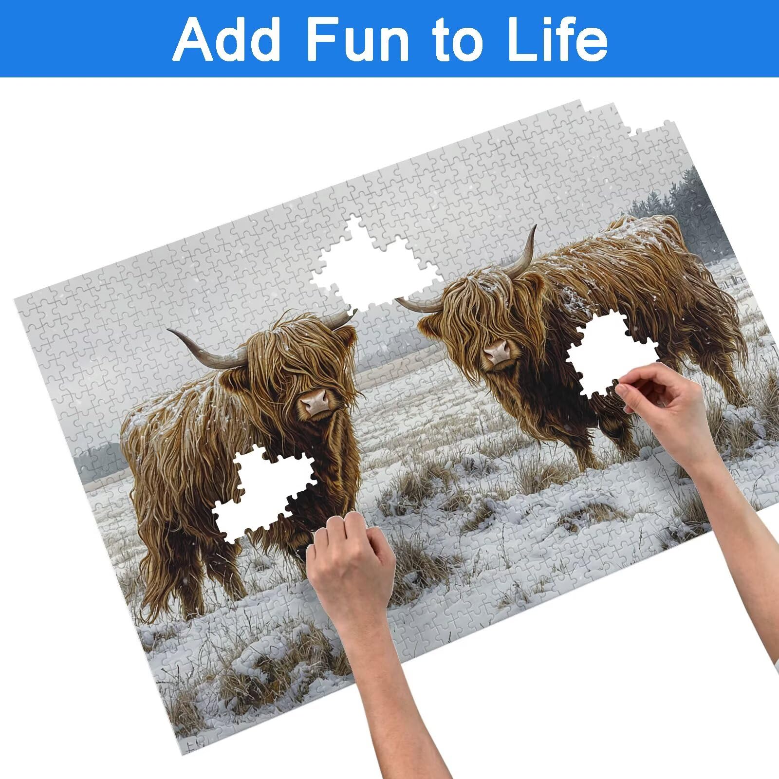 Puzzle 5000 sztuk Highlands Cow Puzzle Animal 5000 sztuk Sztuka dla dorosłych i dzieci, rozmiar: 156,5 x 105,5 cm, drewniane puzzle dla dorosłych z wykwintnym opakowaniem, prezent dla kobiet i