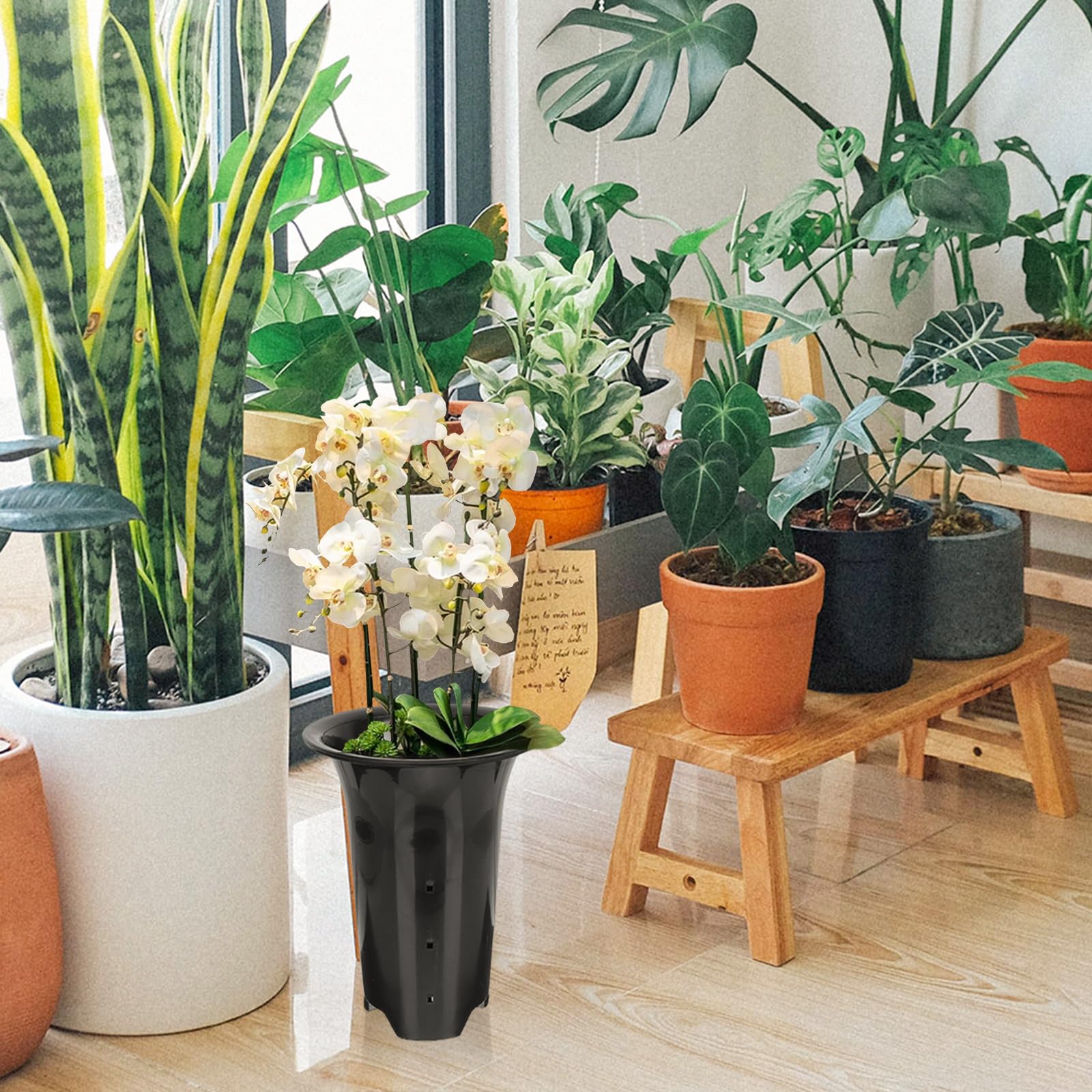 Anneome Lot de 10 Pots pour Orchidées en Plastique Noir Respirants et Robustes, Design Simple, Hauteurs Adaptées pour Contrôle des Racines, pour Plantes D'intérieur