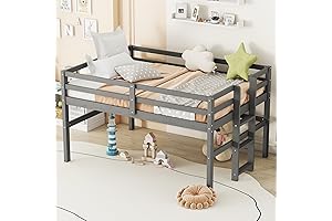 Low Loft Bed: Safe Haven for Young Explorers