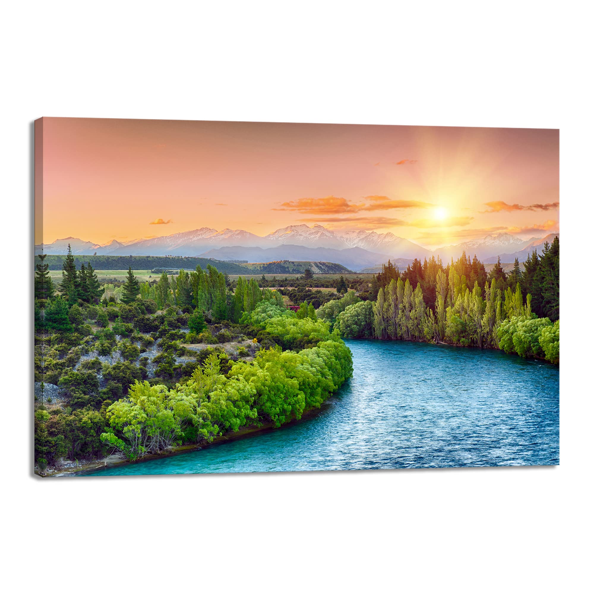 Amazon.co.jp: 絵画 壁掛け 森林 自然風景 ポスター 風景画 写真 風水