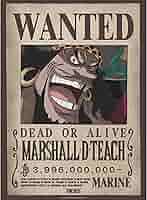 Amazon.com: GB eye - ONE PIECE Wanted Blackbeard Wano Poster