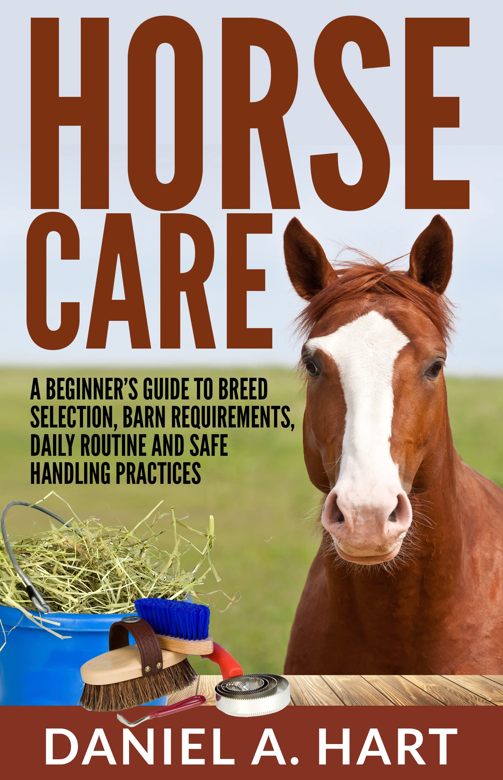 Horse Care: A Beginner’s Guide to Breed Selection, Barn Requirements, Daily Routine and Safe Handling Practices