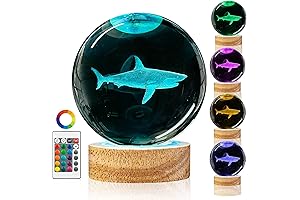 Lifelike Shark In A Jar for Teen Boys Room Decor
