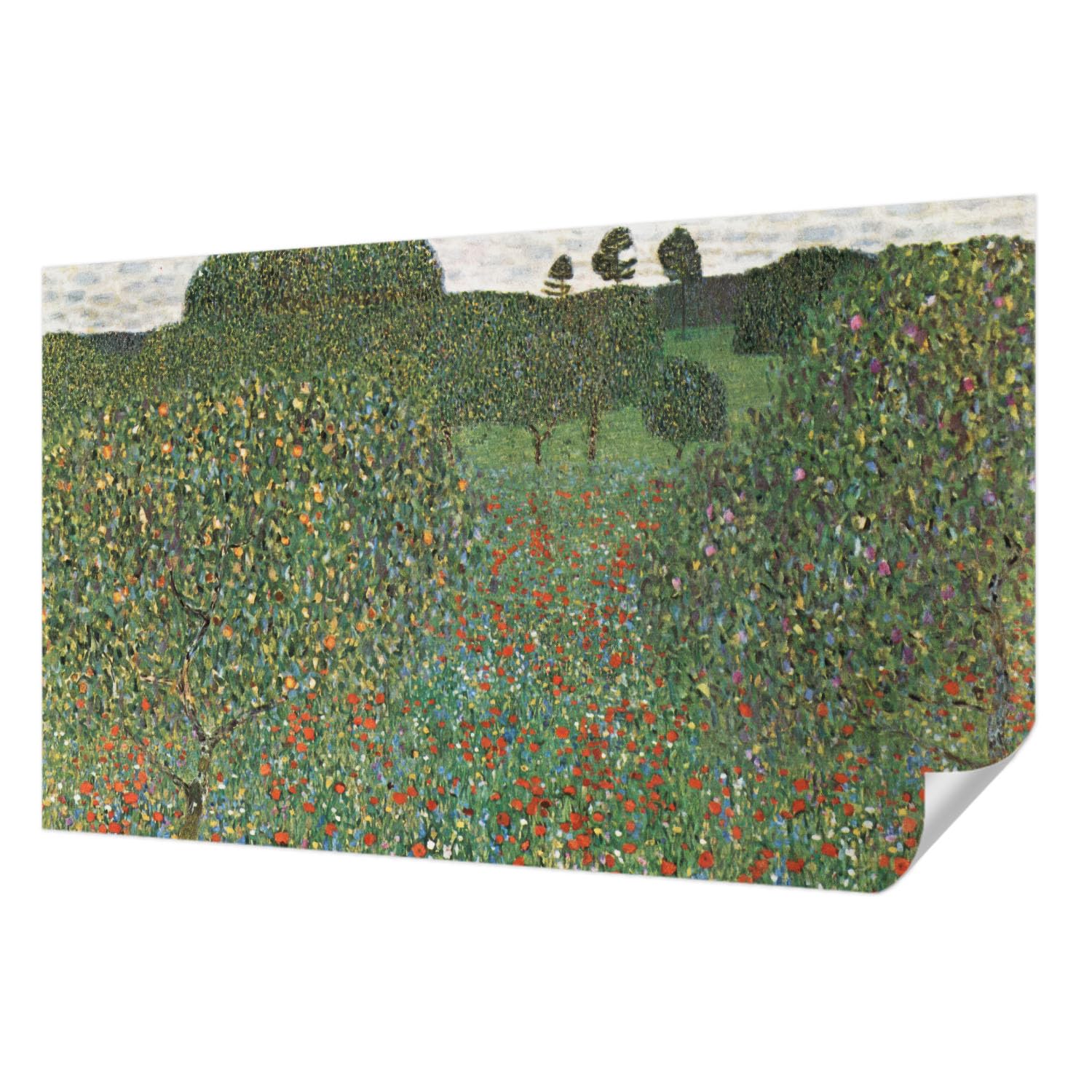 Papier peint photo prairie fleurie Tulup 416x254 cm pour salon