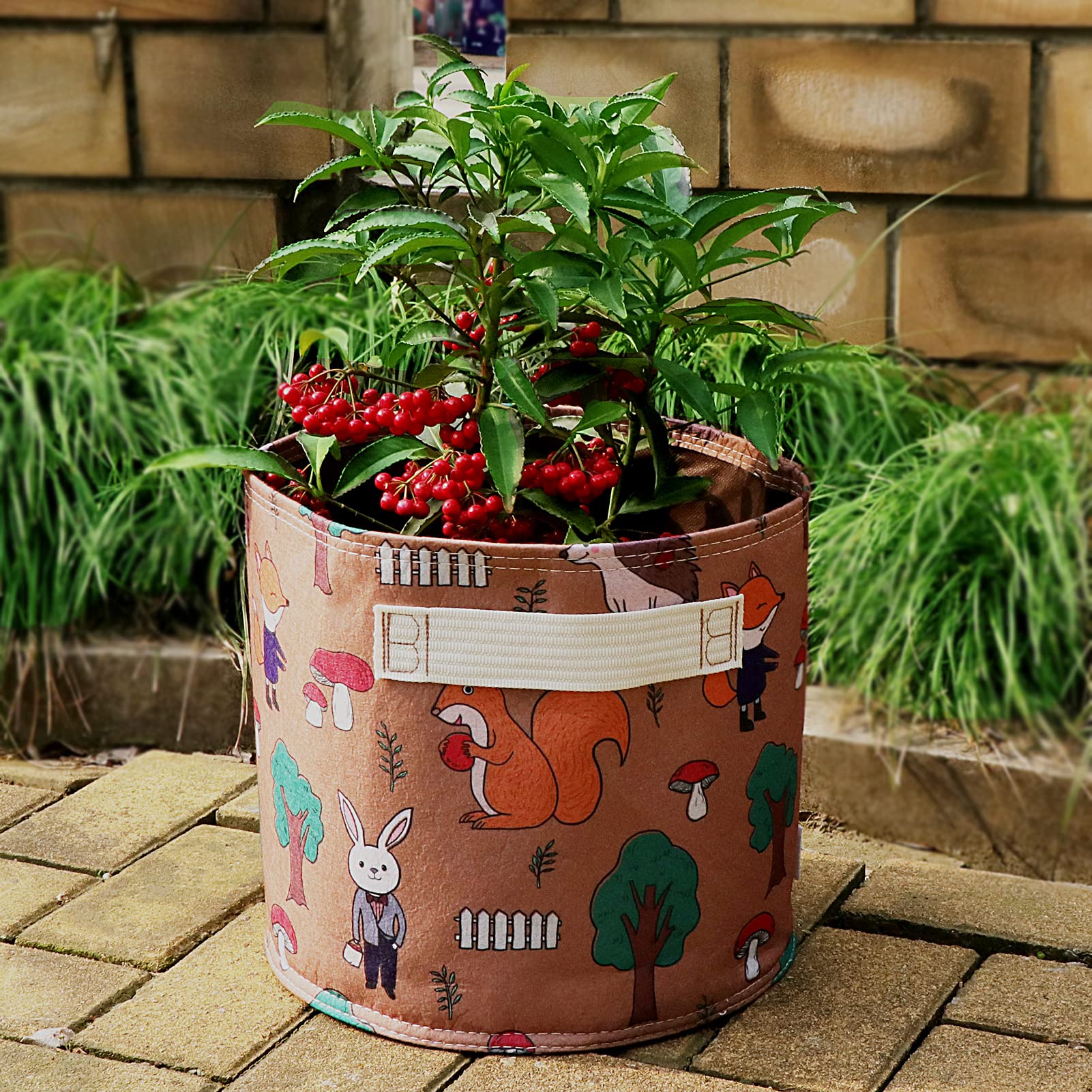 Amazon.co.jp: BLOOMBAGZ! 図柄 カラフル おしゃれ フェルト