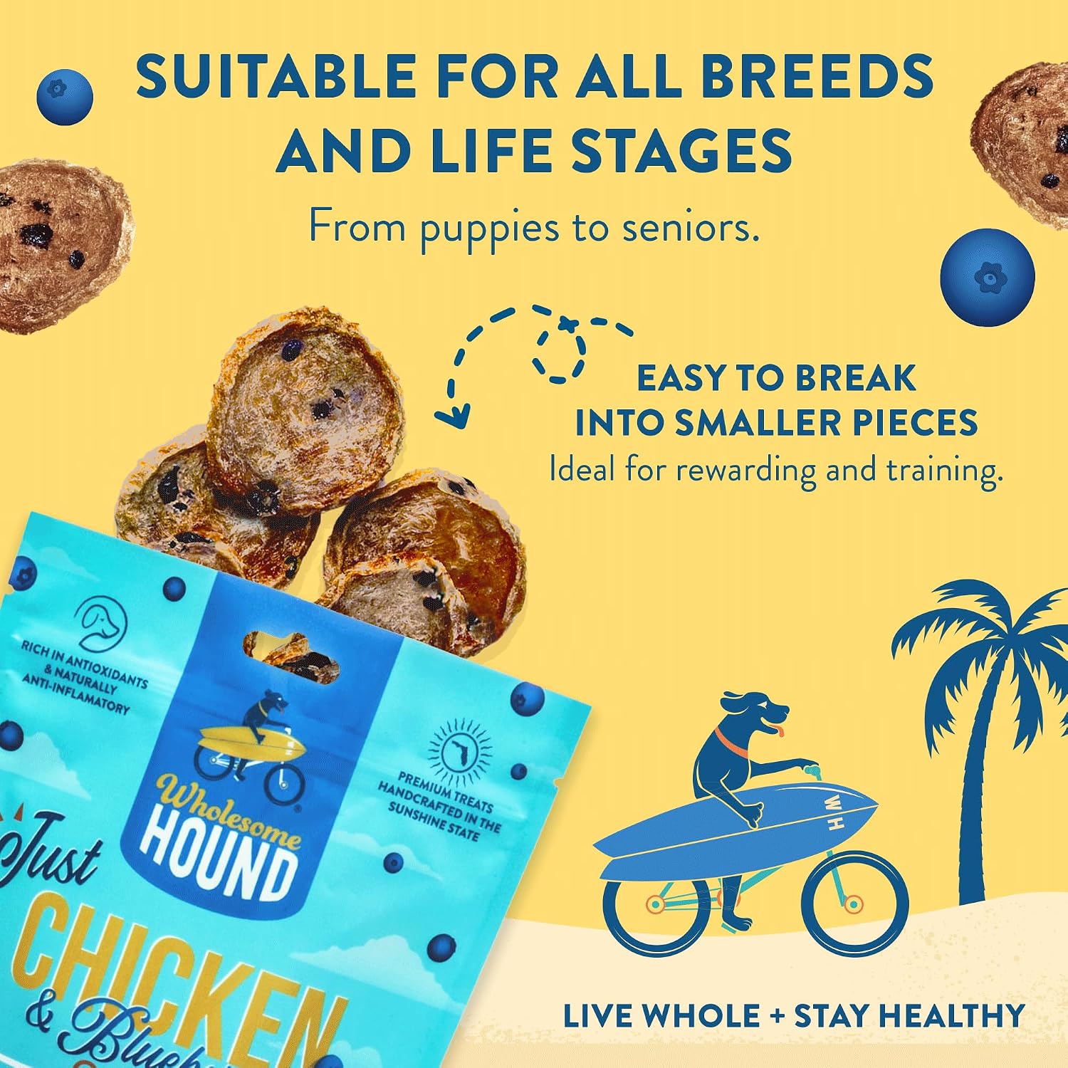 Best Dog Treats ⁤- Chicken & Blueberry chips Healthy Snacks Review