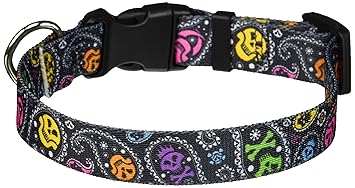 Yellow Dog Design Paisley Skulls Multi Dog Collar, Small-3/4 Wide fits Neck Sizes 10 to 14