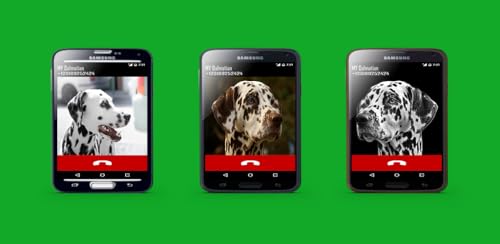 Dalmatian Fake Call Prank ( Funny Pet Calling Prank ) - Gag fake Prank Call from Dalmatians Dogs - F