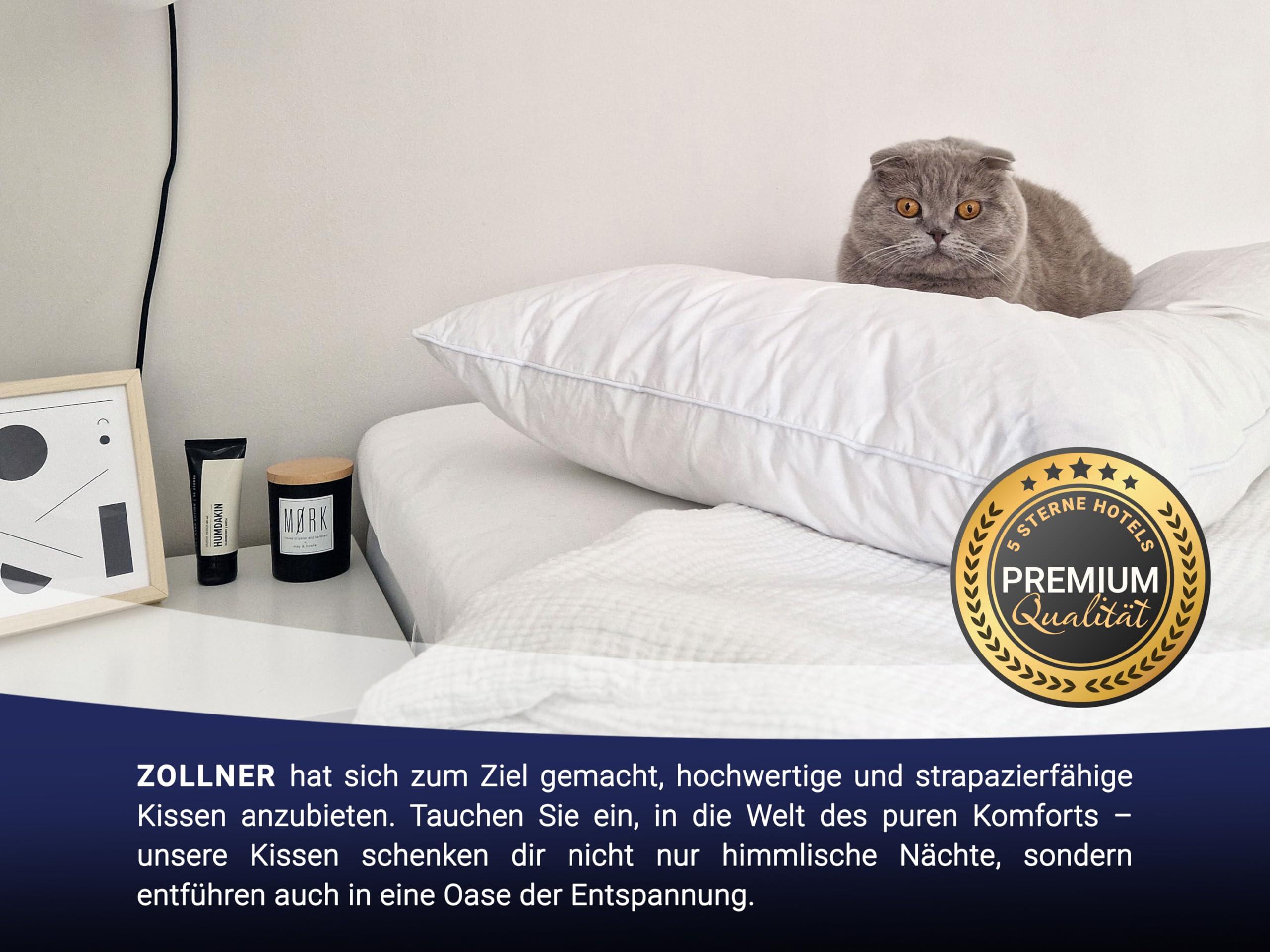 ZOLLNER Kopfkissen aus 90% Federn und 10% Daunen - Made in Germany - für Allergiker geeignet – Bezug aus hochwertiger Baumwolle - waschbar bis 60°C - 60x90 cm - Hotelqualität