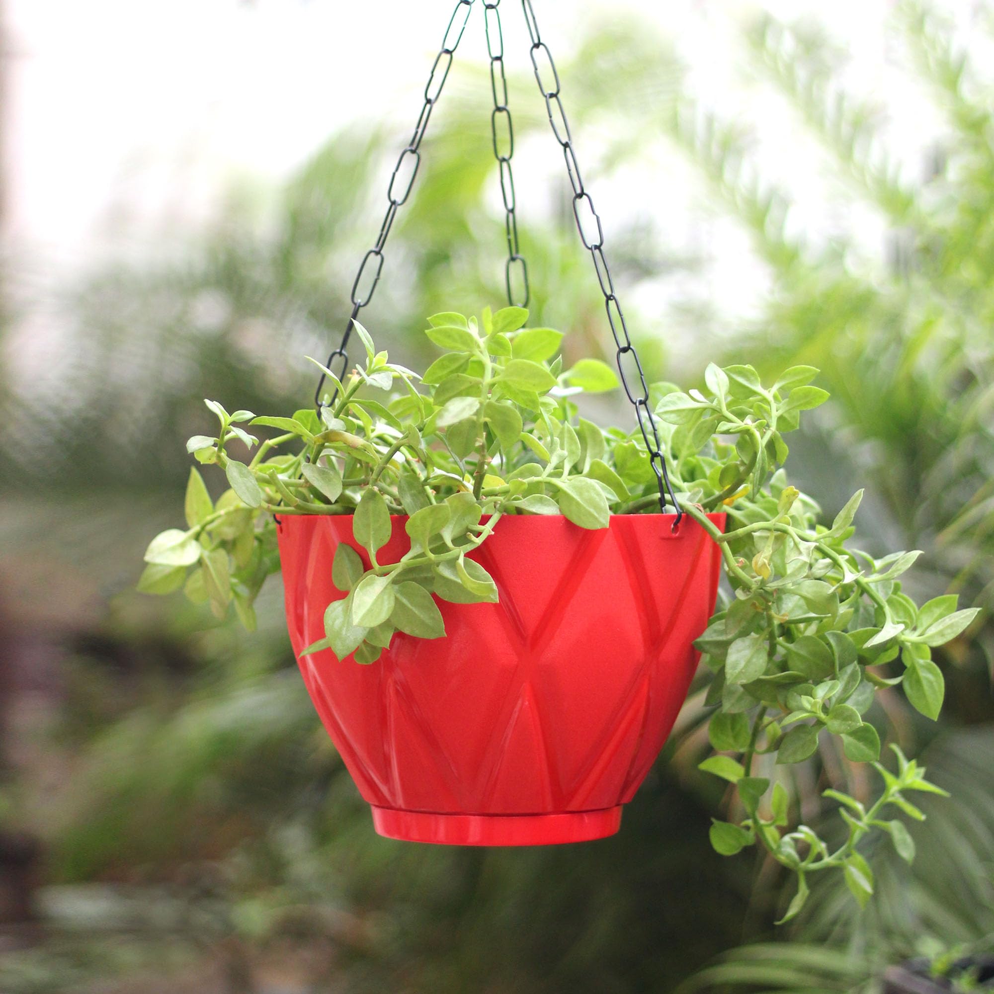 Plastic Hooked Hanging Planter Pot with Bottom Tray (Red) (B0CSSCKH1J) Amazon Price History, Amazon Price Tracker