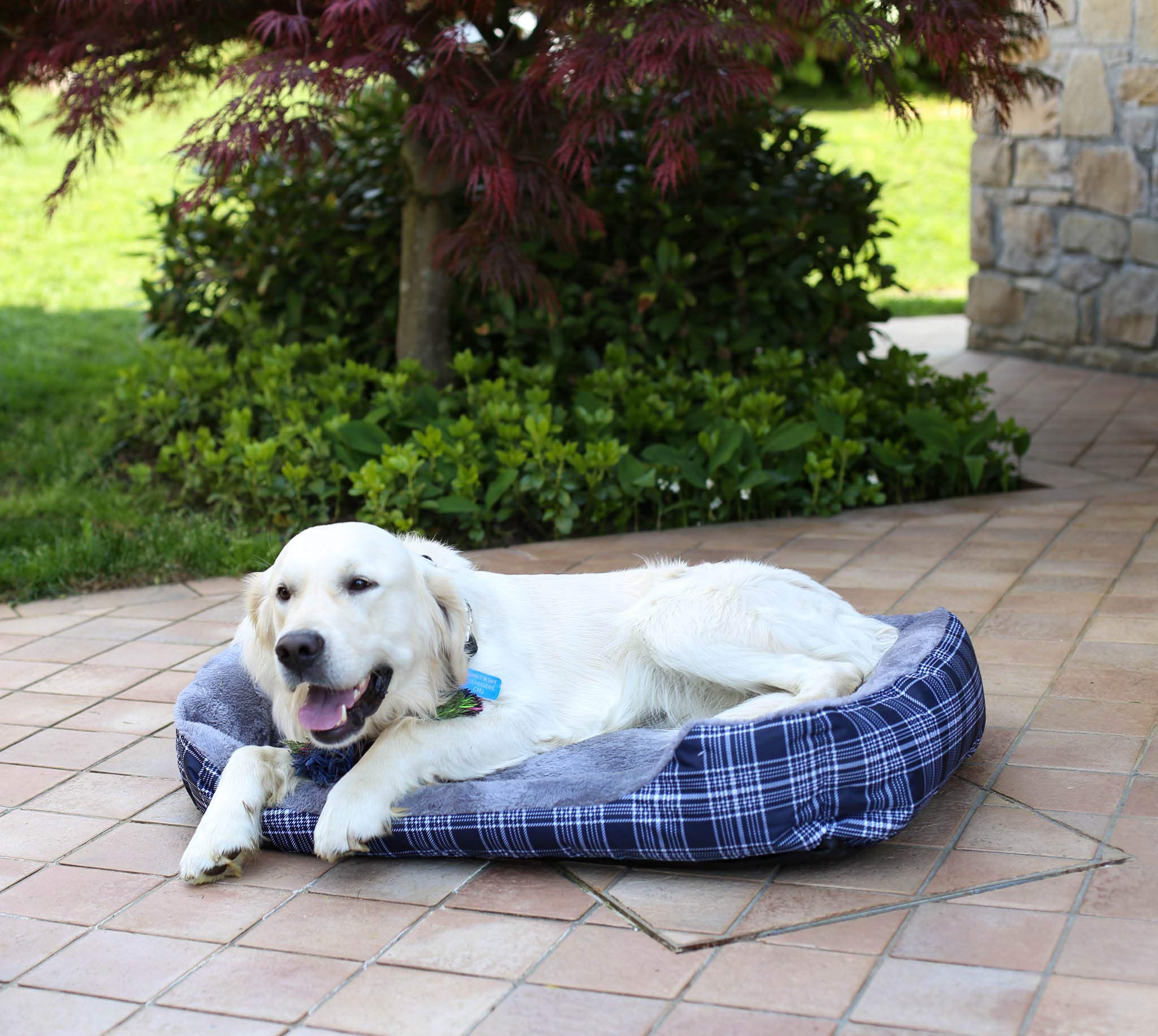 C-WILLY-84x66x19cm Panier pour chiens et chats, Willy, 84x66x19cm
