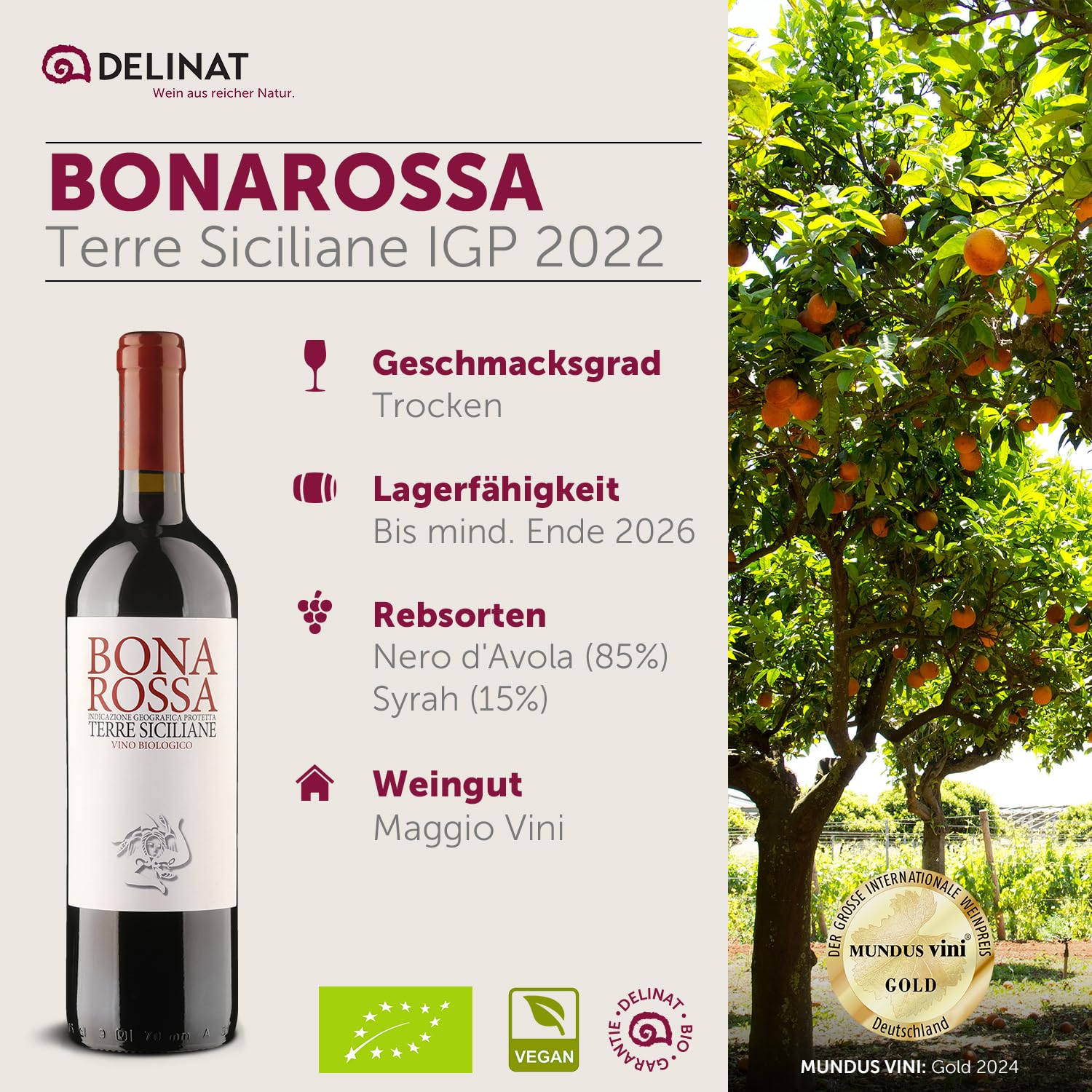 DELINAT Bio Rotwein Set Bella Italia – 6 Flaschen Italien Probierpaket | Rotwein aus den Rebsorten Primitivo, Ripasso & Nero d'Avola – 5x trocken, 1x halbtrocken, veganer Premium Wein 6 x 0,75l