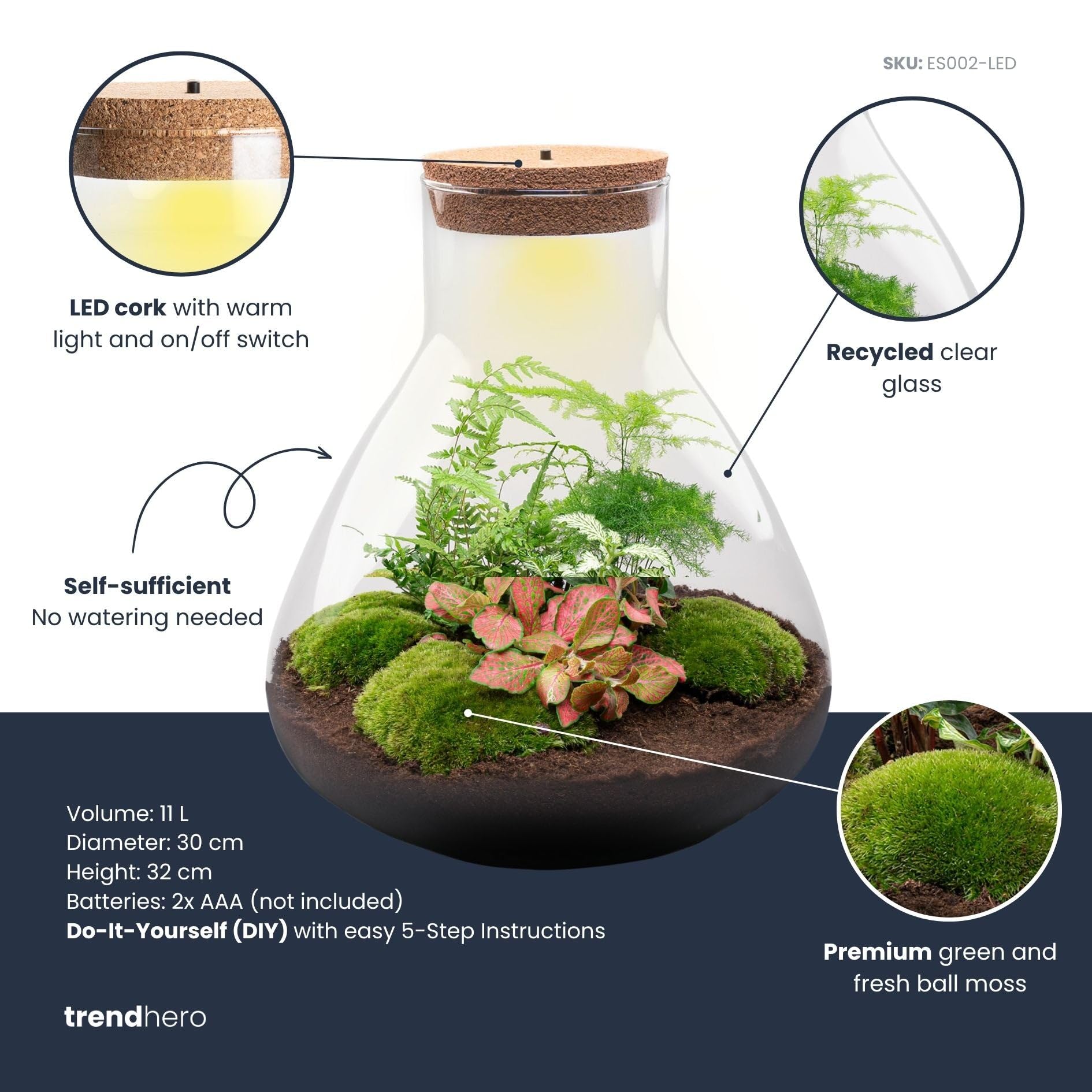 Kit DIY Terrarium • Sam XL Red • Écosystème avec Plantes • ↑ 35 cm