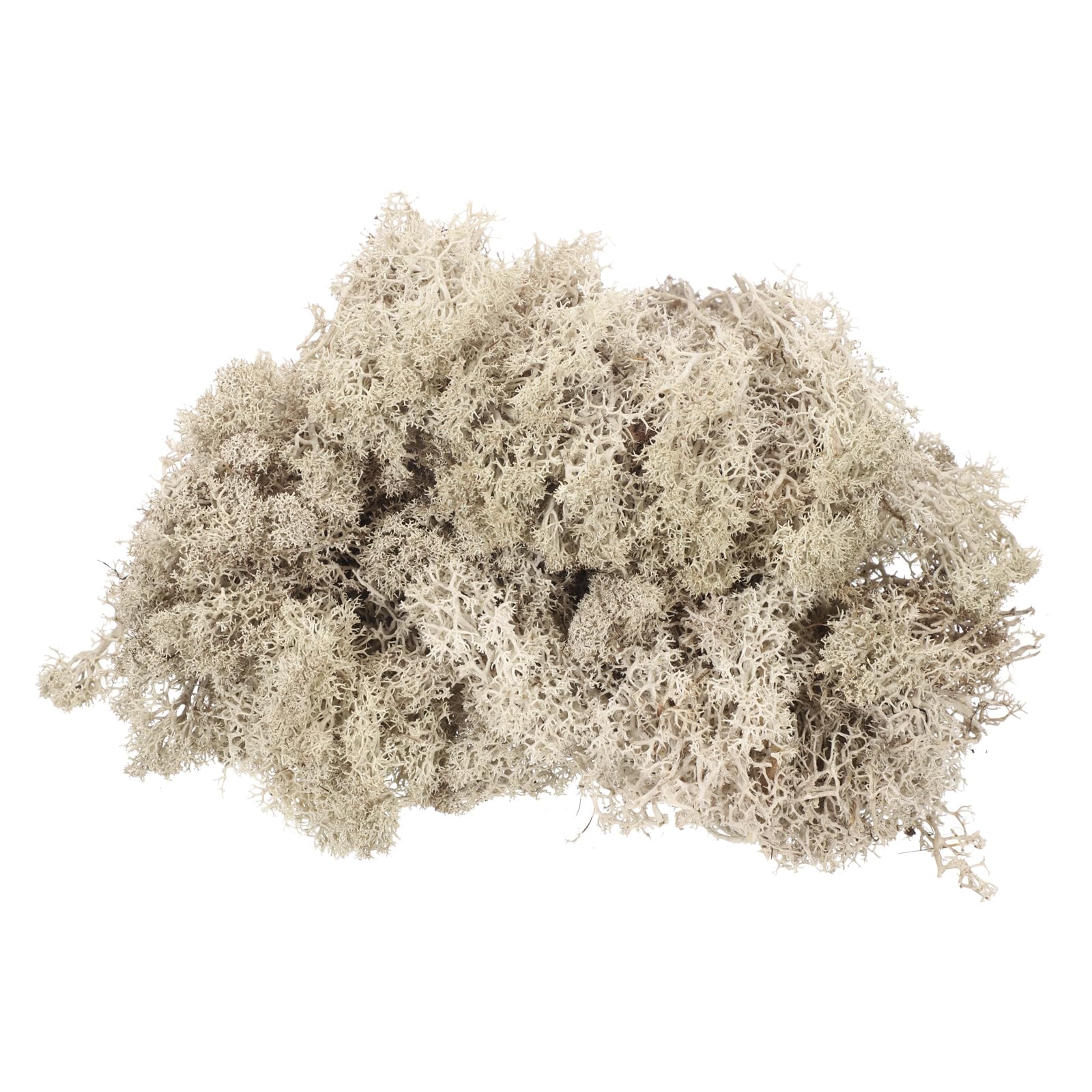 sourcing map 4.6oz Preserved Reindeer Moss, Brown Decorative Artificial Fake Moss for Potted Plants Indoor Crafts Lichen Centerpieces Decor
