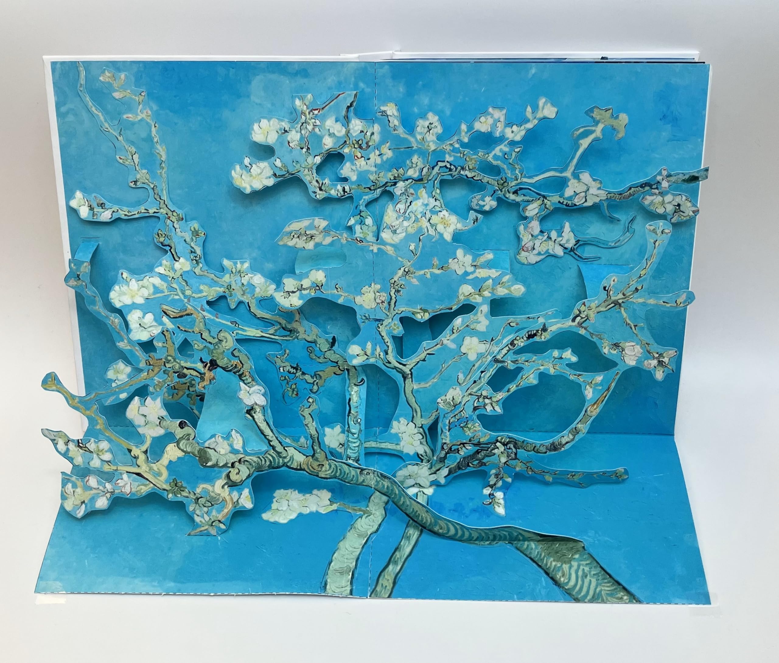 Van Gogh - The Pop-Up Book: by David Carter