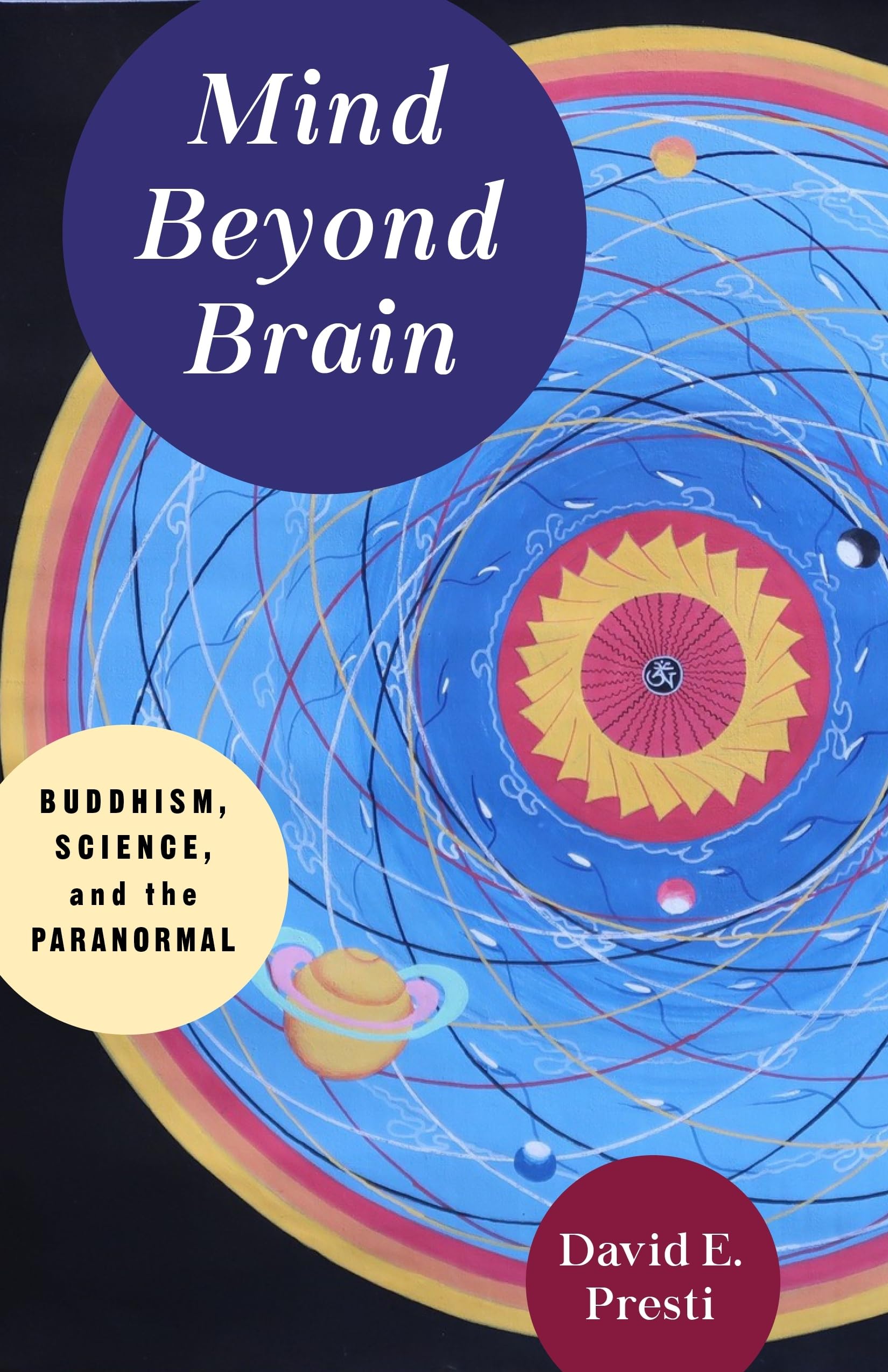 Mind Beyond Brain by David Presti PAPERBACK 9780231189576