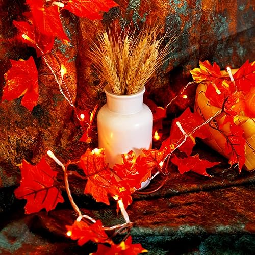 VCOKEN Decoraciones de Acción de Gracias, Guirnalda de Otoño con Luces, 24LED Luces de Acción de Gracias Operadas con Batería con Temporizador,
