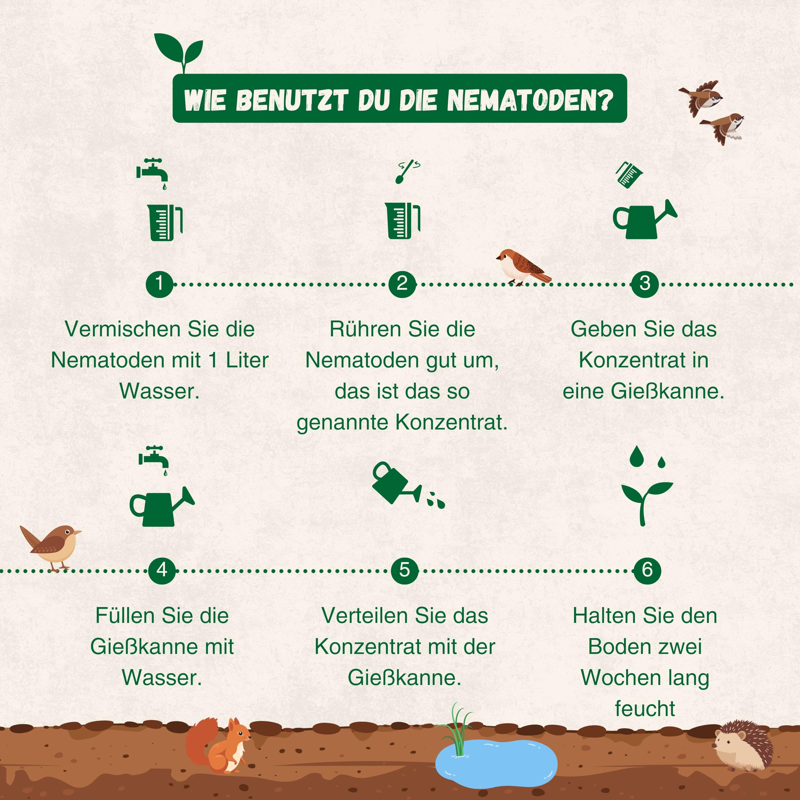 Strijtveen & Wagenaar – SC-Nematoden gegen Zecken & Flöhe – 50.0 Mio. für 100 m² – Biologisch & effektiv – Natürliche Bekämpfung von Parasiten im Boden rund um Haus & Garten