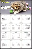 Vista 1 de Calendario magnético 2024 – Imanes del calendario – Today is my Lucky Day – Resistente a la decoloración, desgarros y agua – Temática de gato 017
