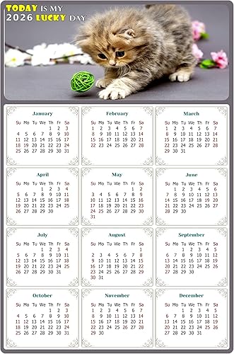 Calendario magnético 2024  Imanes del calendario  Today is my Lucky Day  Resistente a la decoloración, desgarros y agua  Temática de gato 017 (5.25