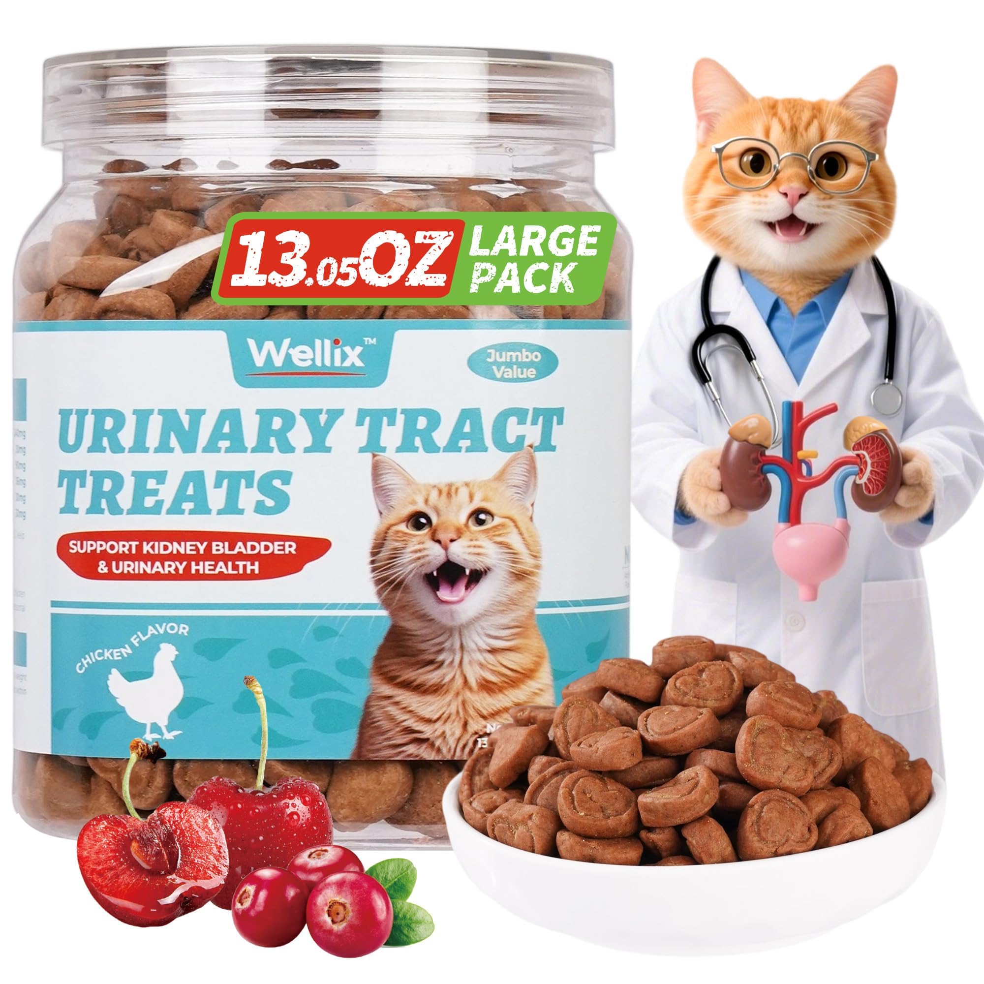 Wellix Cat Treats for Indoor Cats - Support Urinary Tract Health - 370g