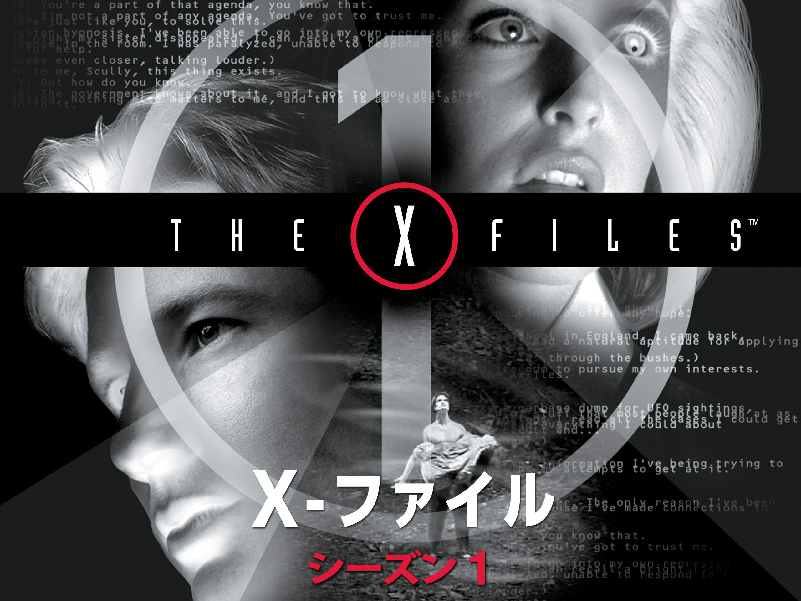 【開店記念セール！】 xファイル asakusa.sub.jp