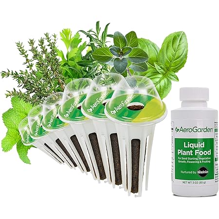 AeroGarden Assorted Italian Herb Seed Pod Kit (6-pod)